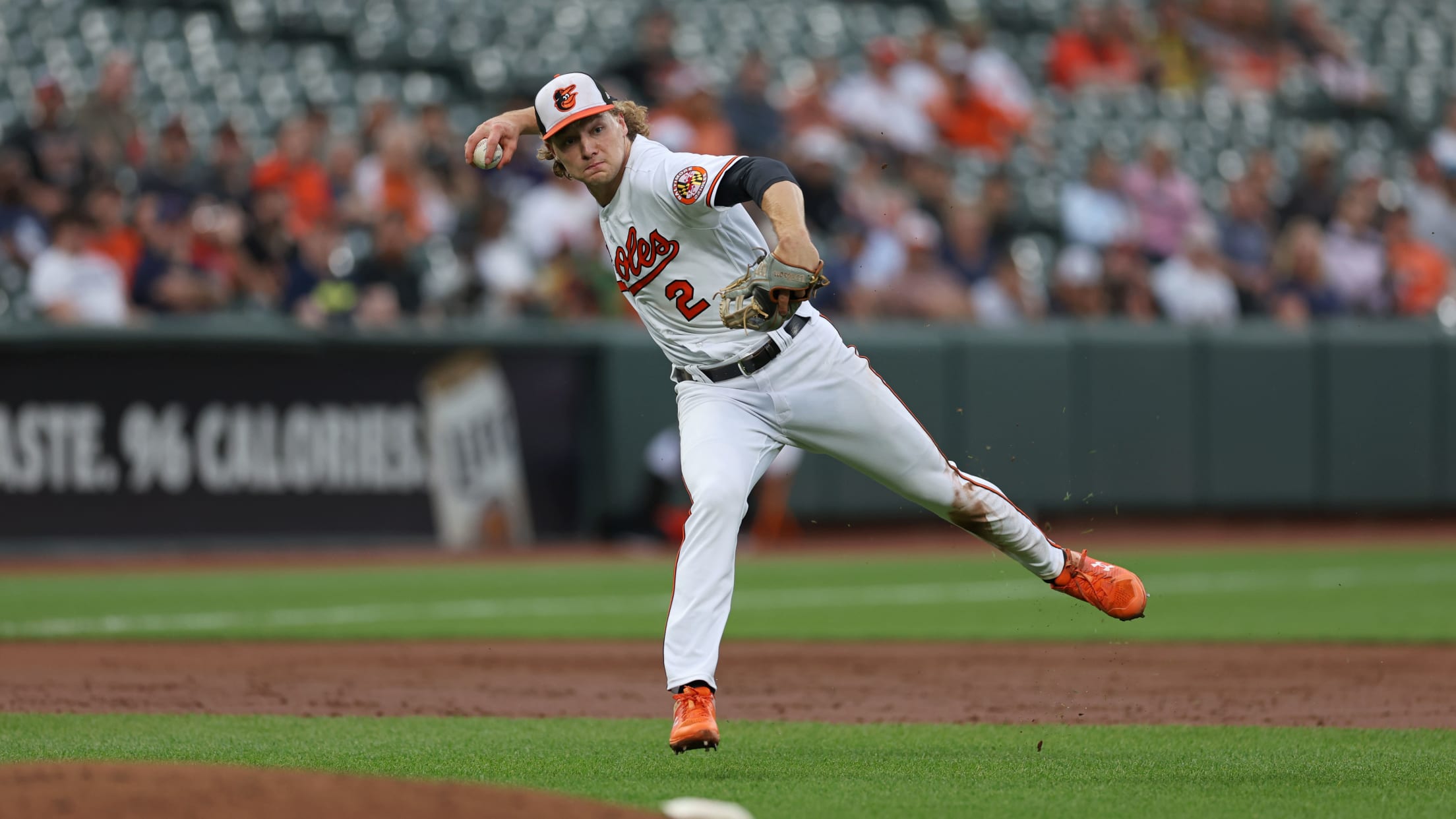 BAL-BI-StatingTheCase-HendersonROY - 008