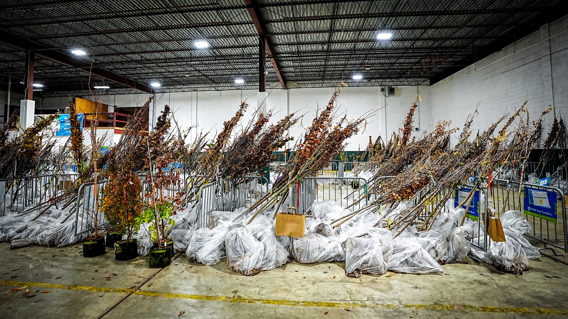 HomeRunsForTrees04002