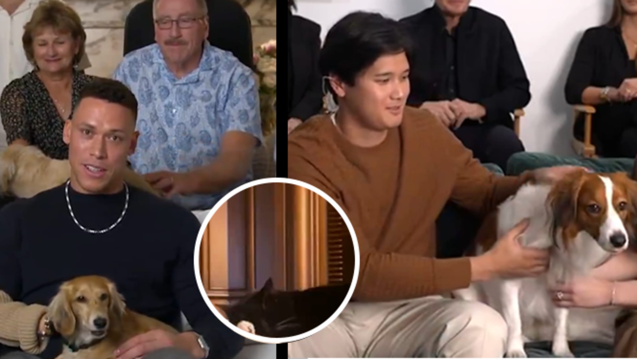 Aaron Judge, Shohei Ohtani and their dogs