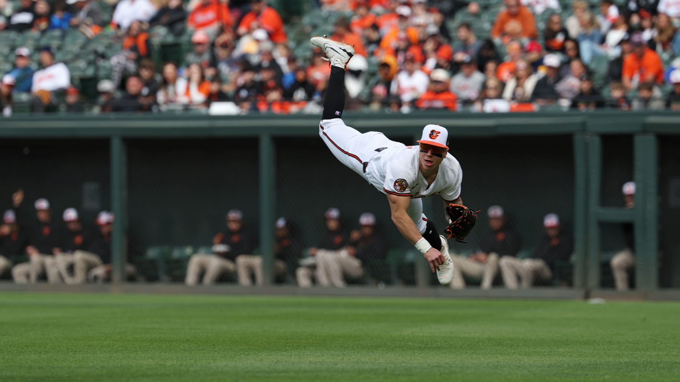 bal_Birdland_Insider_Todd_Photos_0011