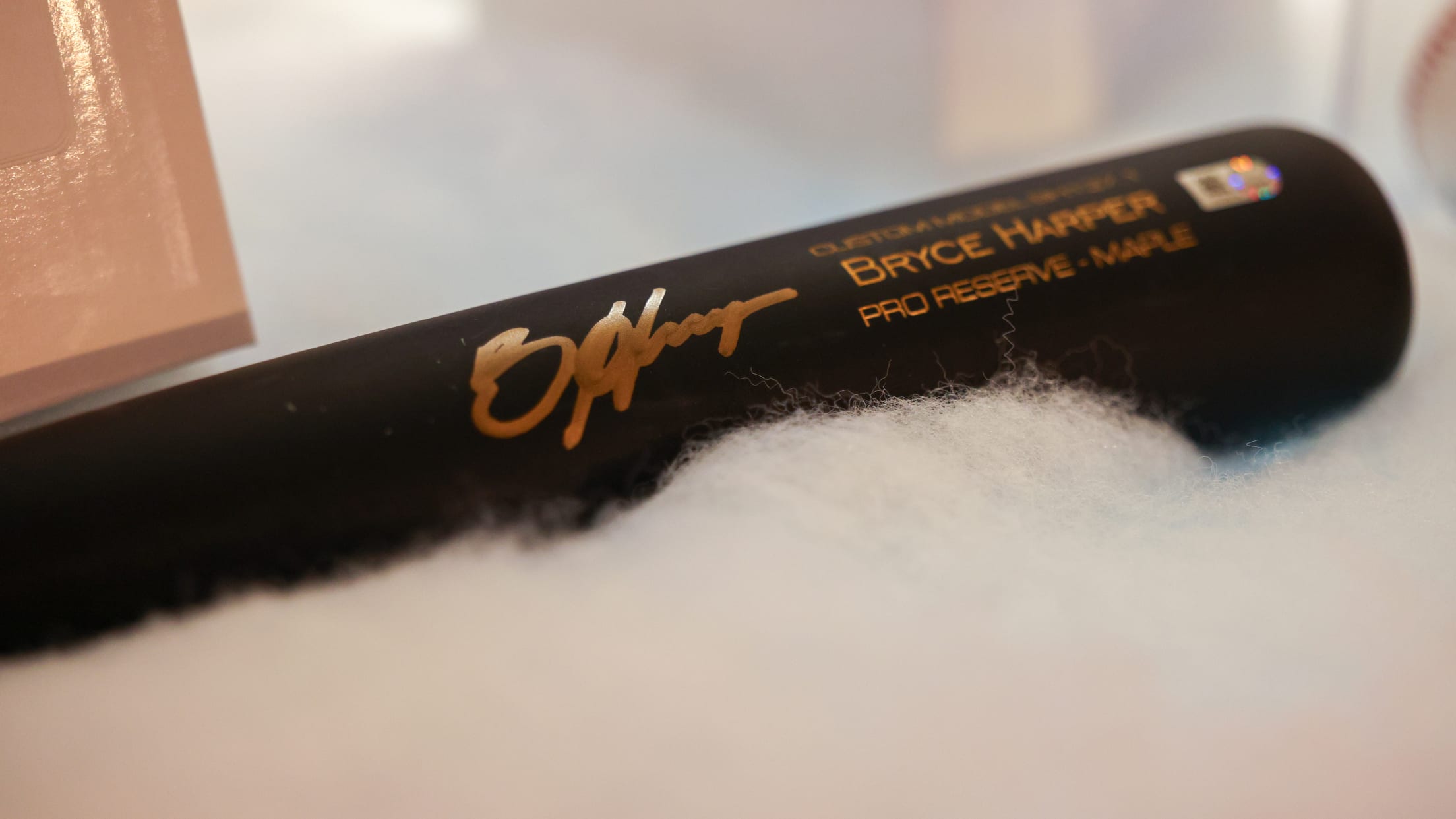 20251203_Phillies Charities Inc Dinner-86