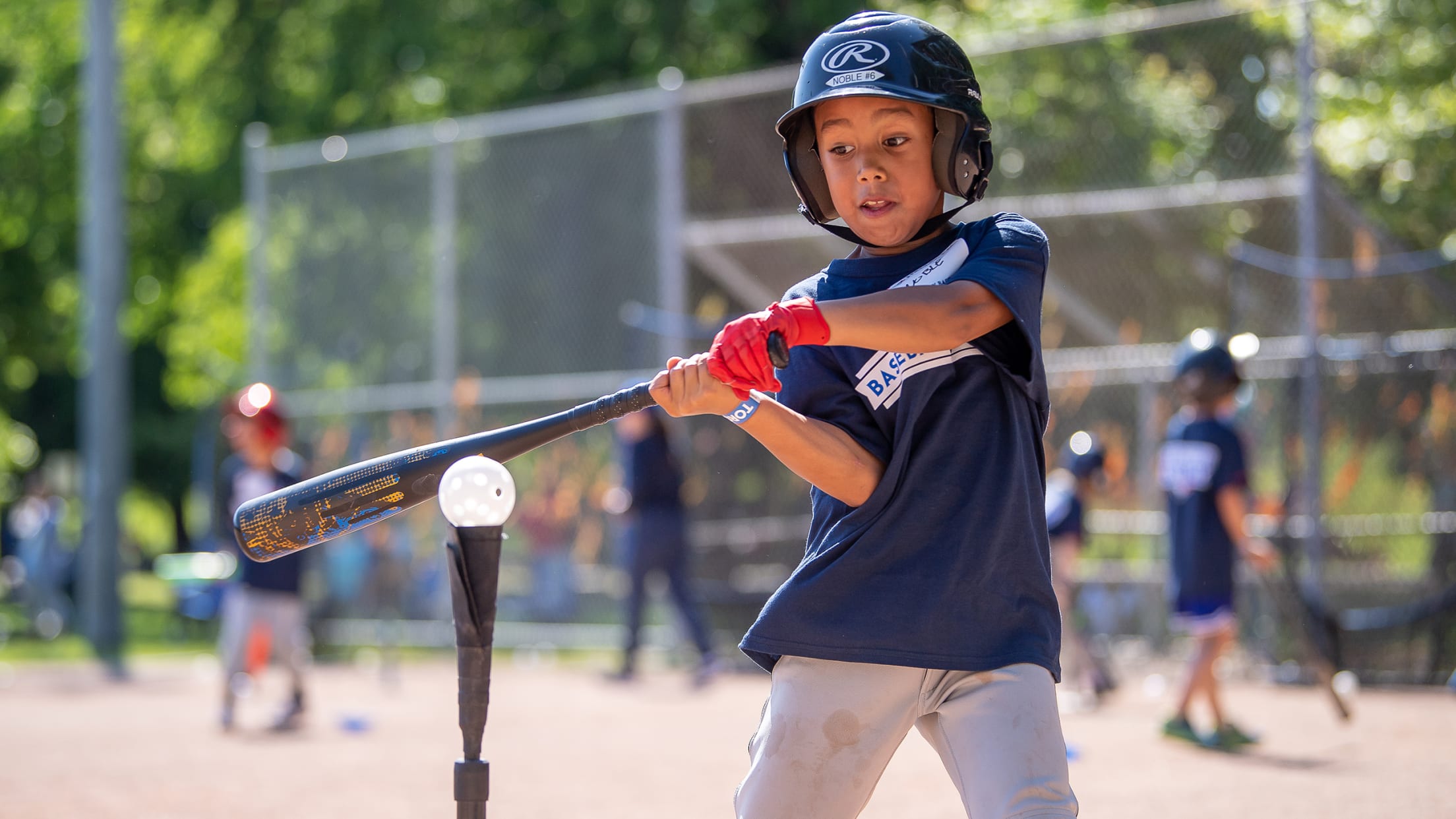 Baseball Program Overview