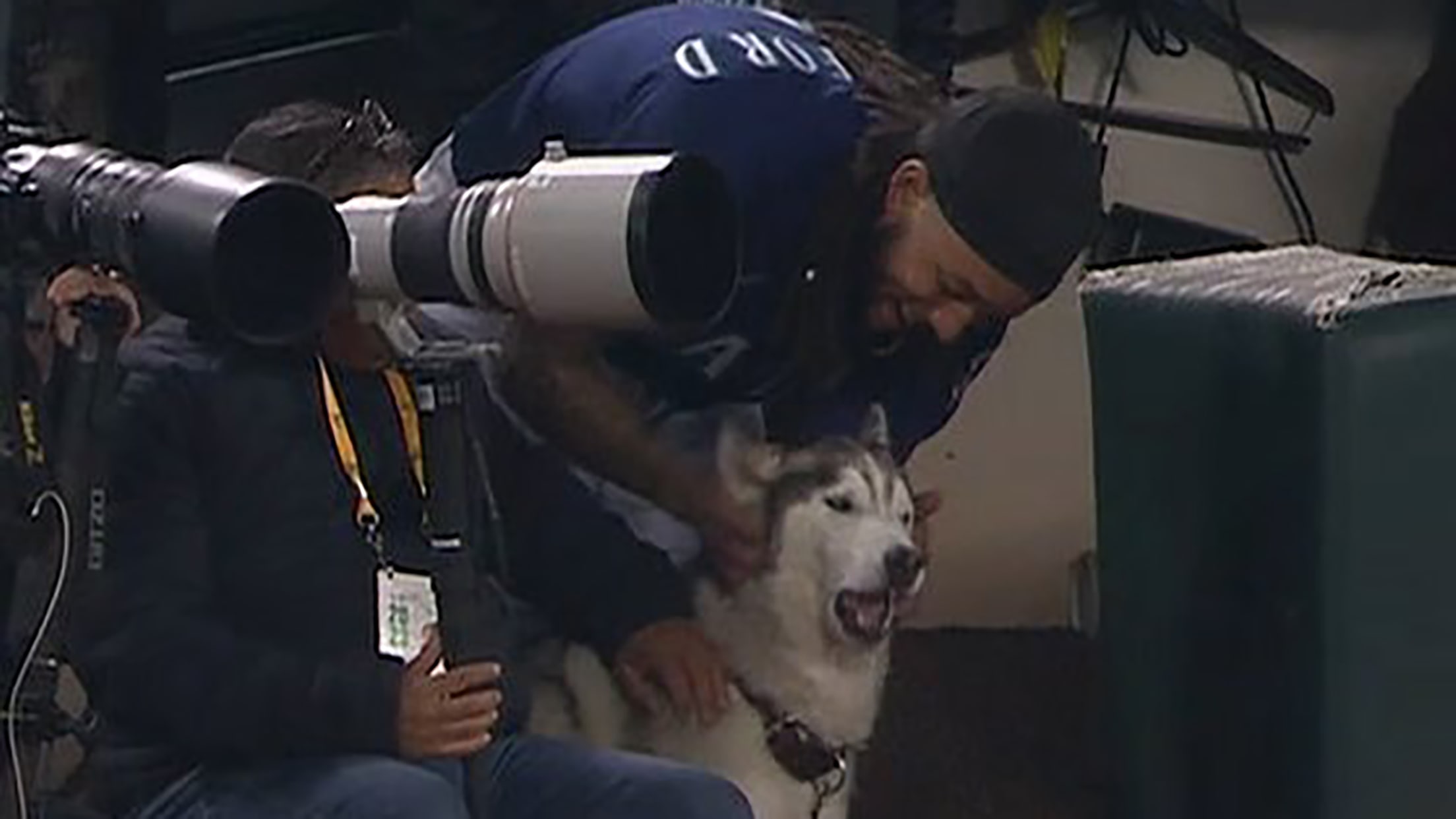 J.P. Crawford pets a dog in the Mariners' dugout