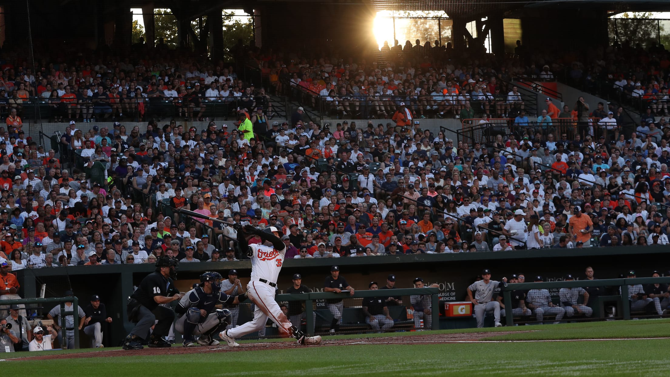 BAL-BI-InFocus-073123 - 057