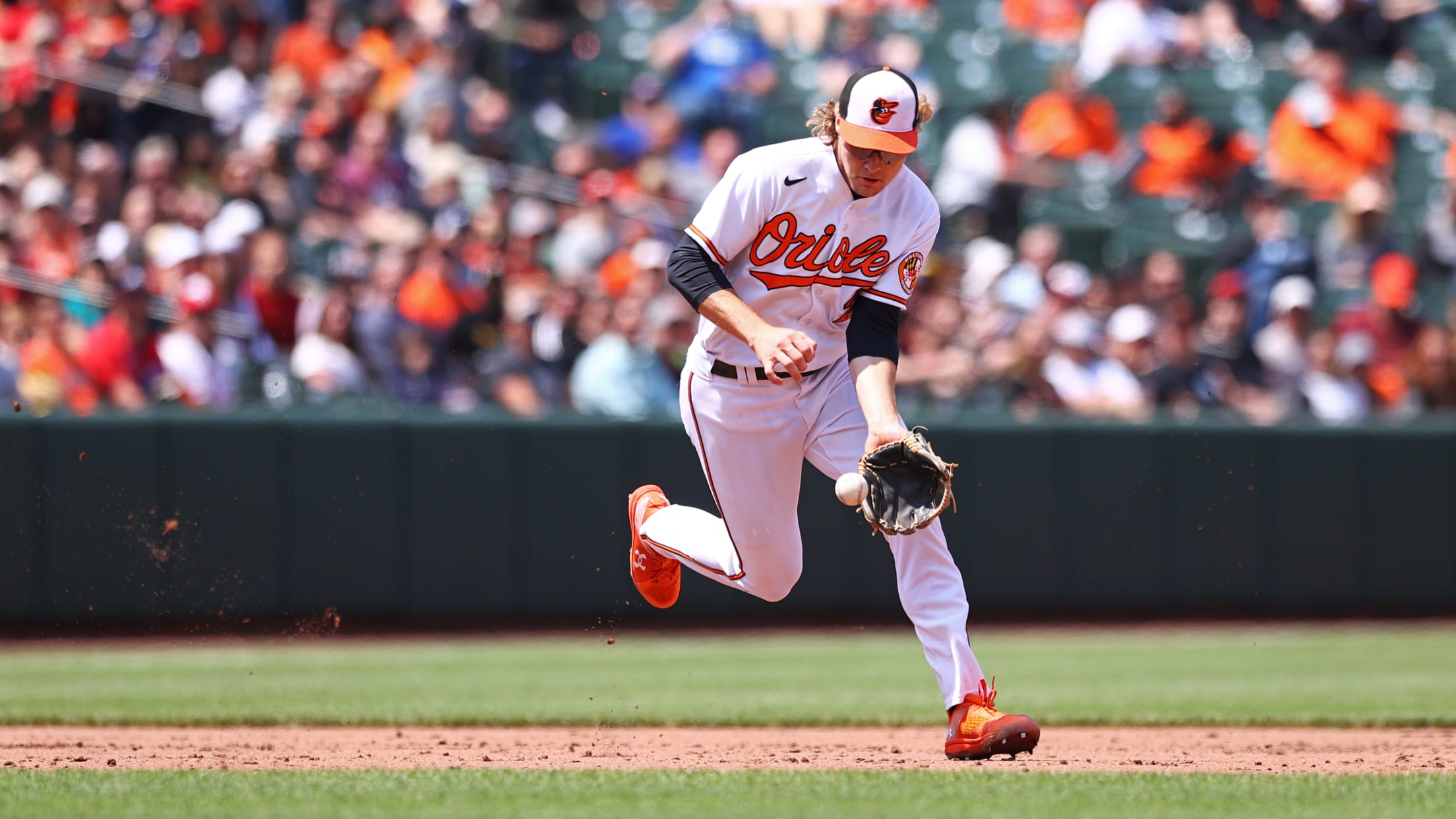 BAL-BI-StatingTheCase-HendersonROY - 010