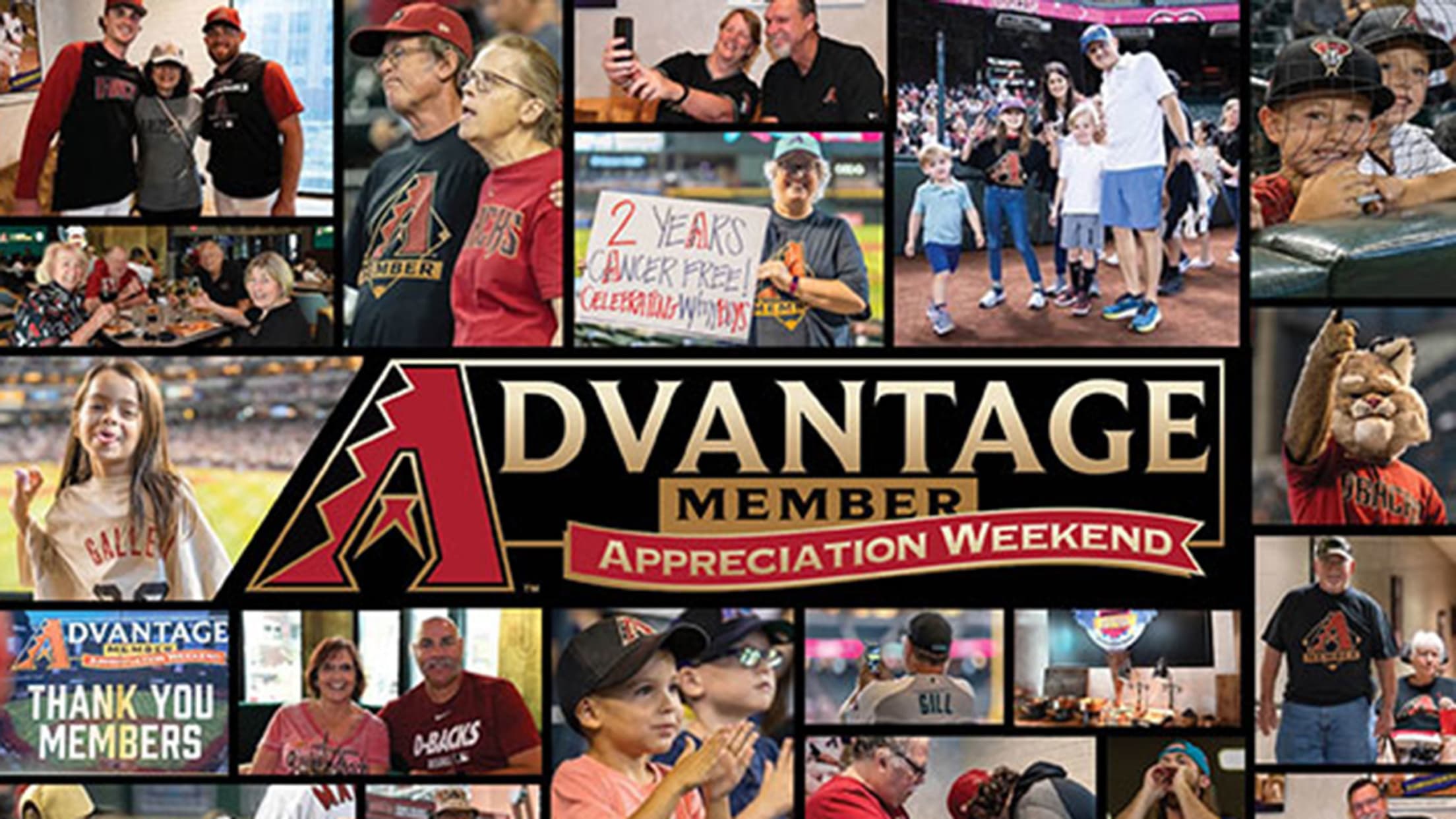 Arizona Diamondbacks on X: We are proud to announce @Avnet as our