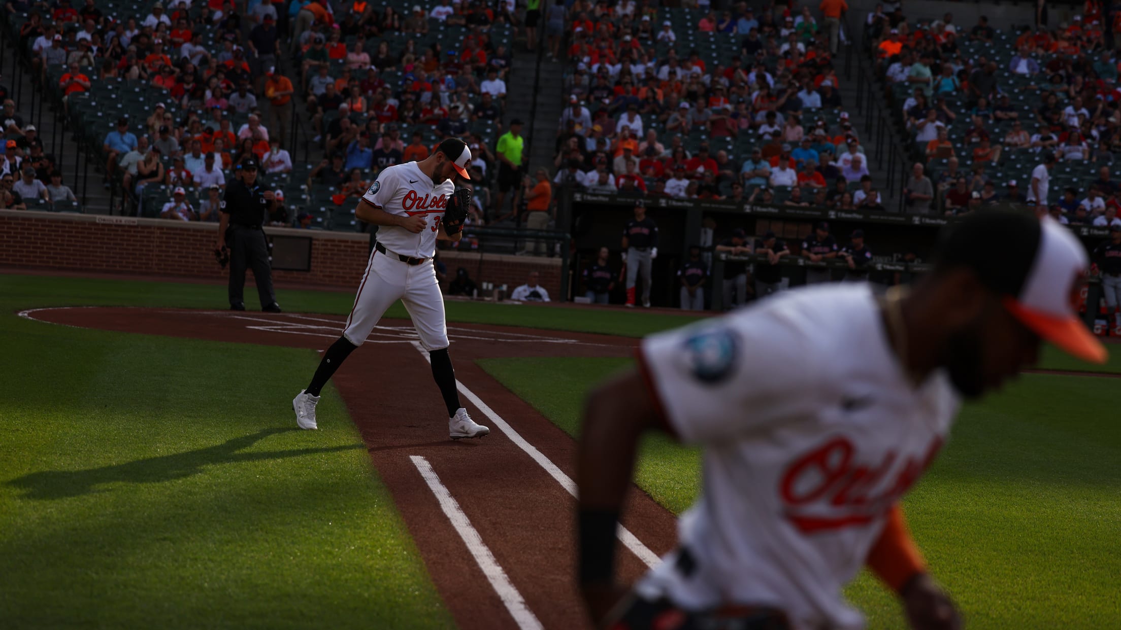 BAL-bestof2024-todd-122024-050