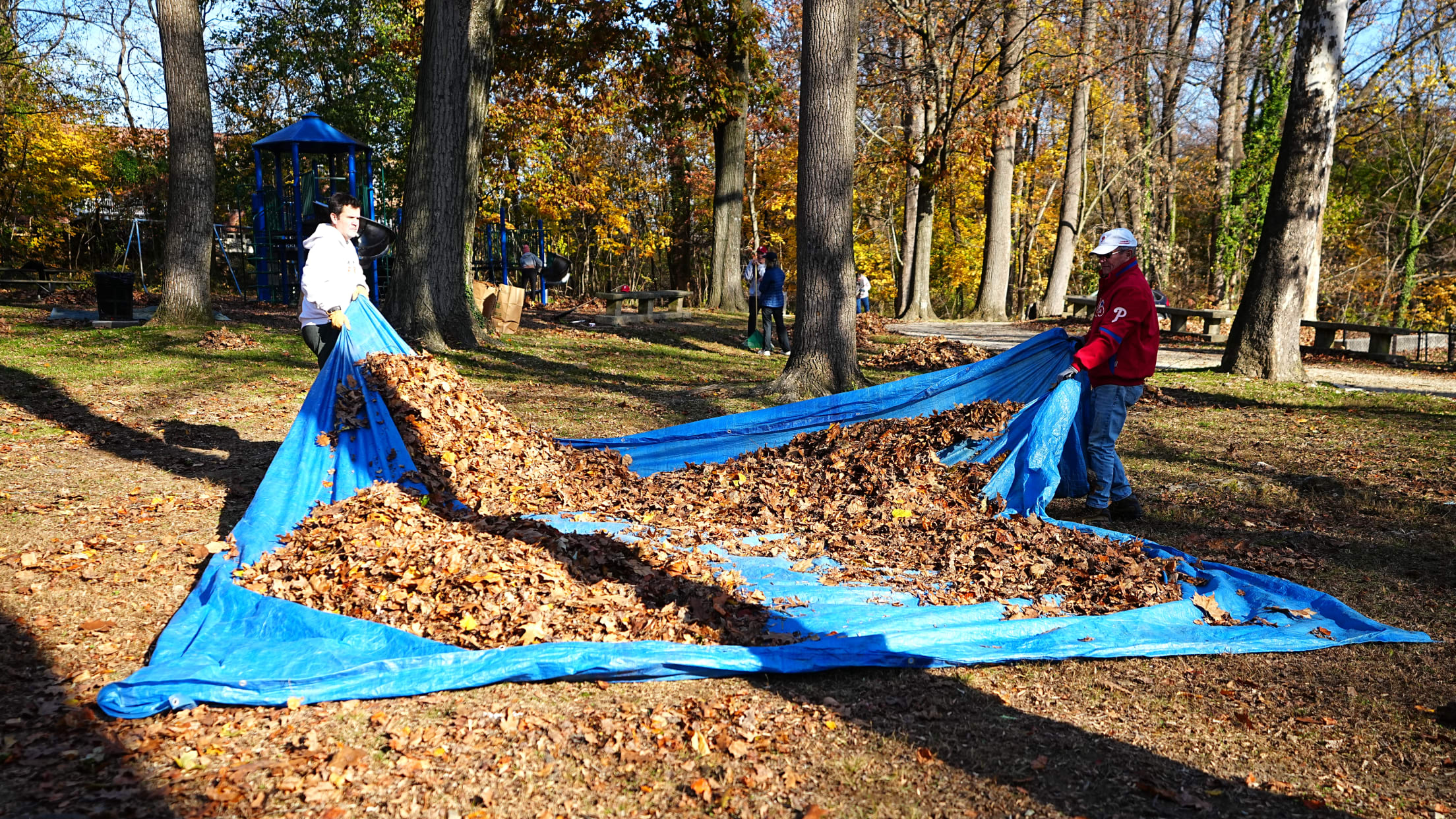 DPMFieldCleanUp167047