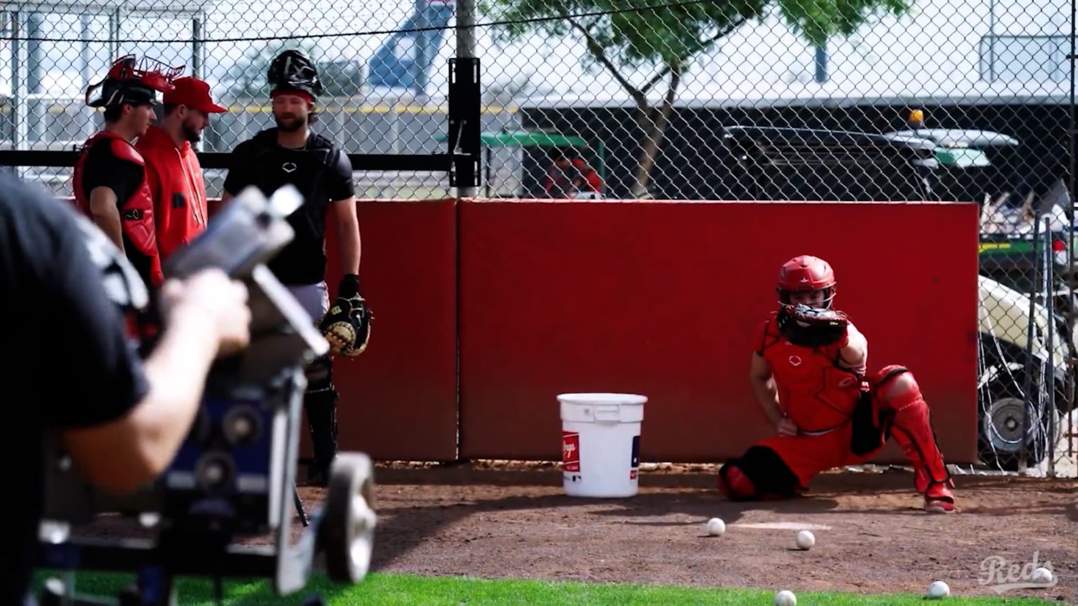 Tyler Stephenson on start of camp, Eugenio Suárez