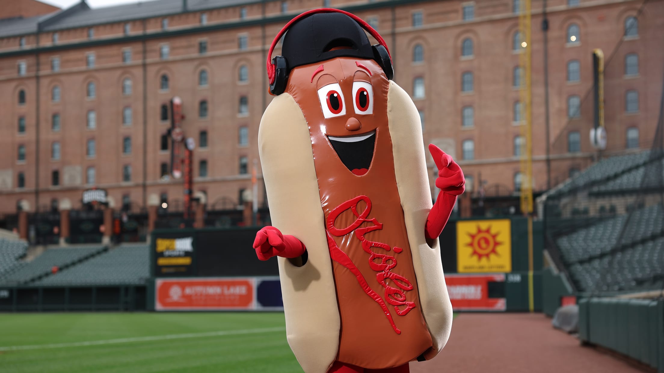 Berks Live Hot Dog Race Baltimore Orioles