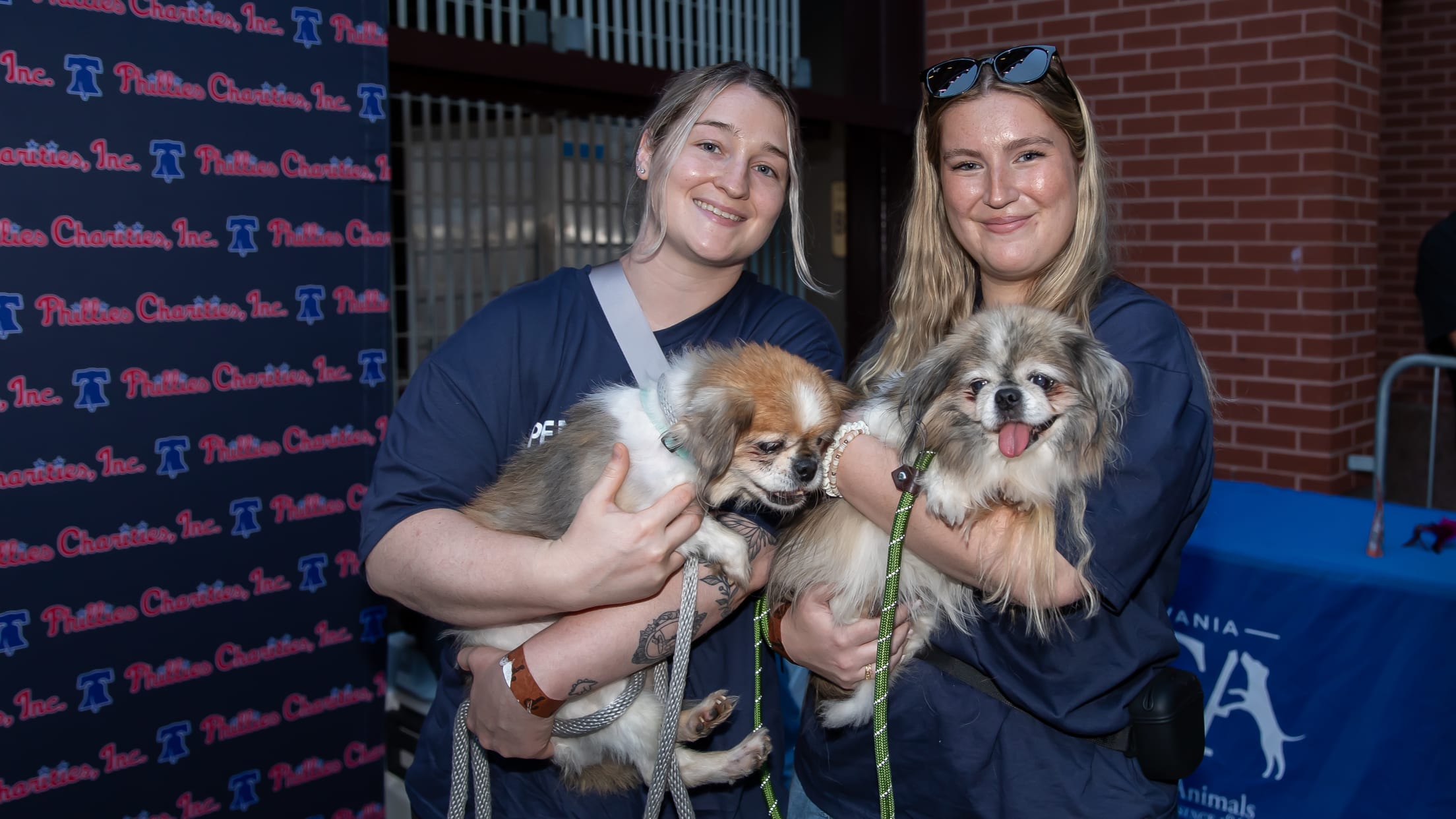 20250822_Save_a_Pet_Waterfalls-18