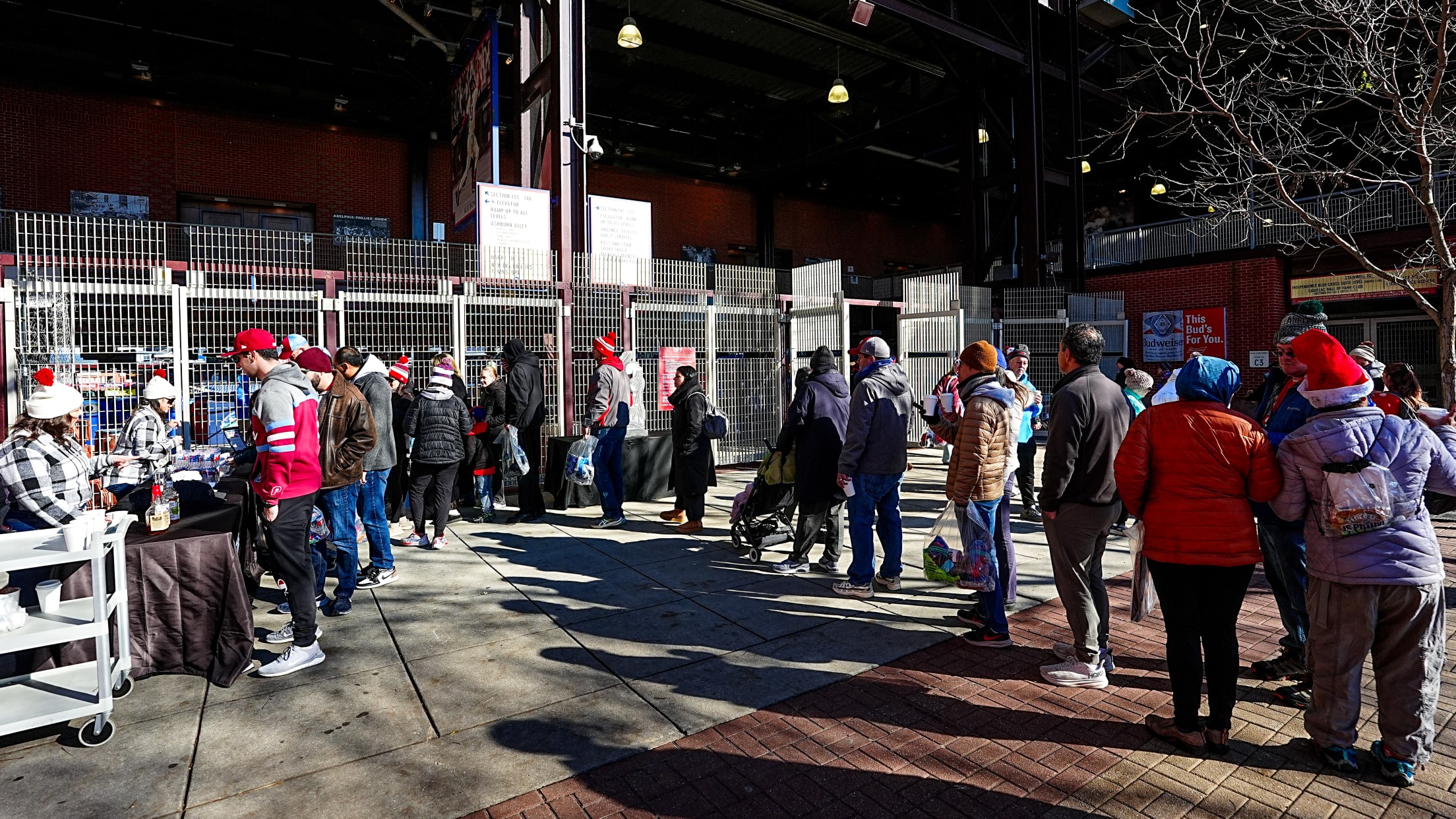 TreeLightingHolidaySale05769