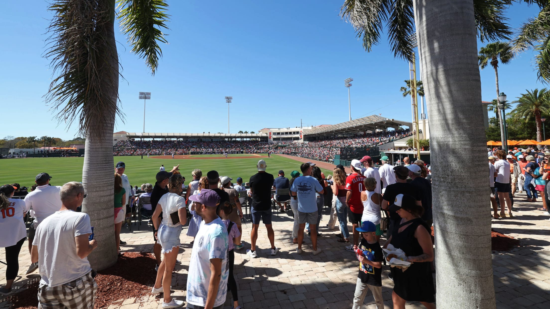 BAL-BI-022824-In-Focus-2024-Spring-Training-079