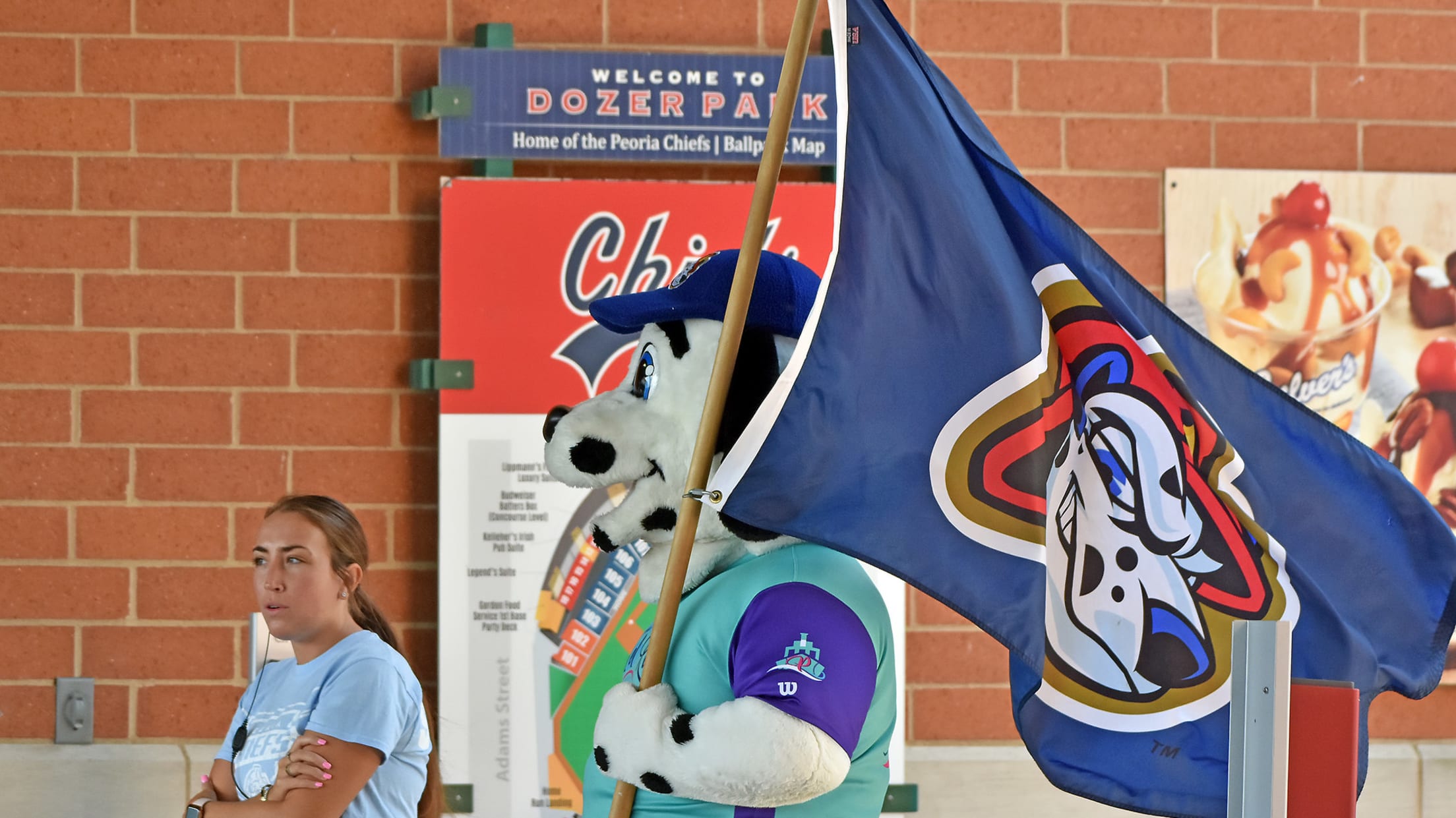 Peoria Chiefs Dog Collar