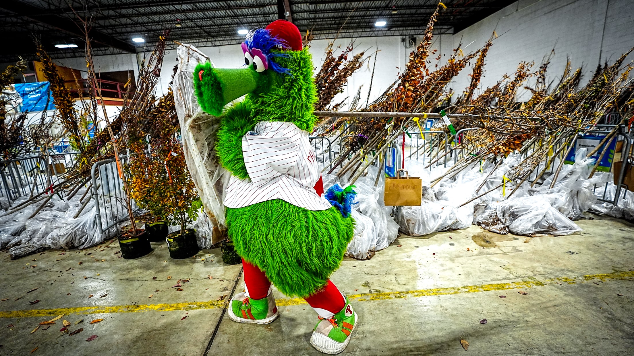 HomeRunsForTrees166540