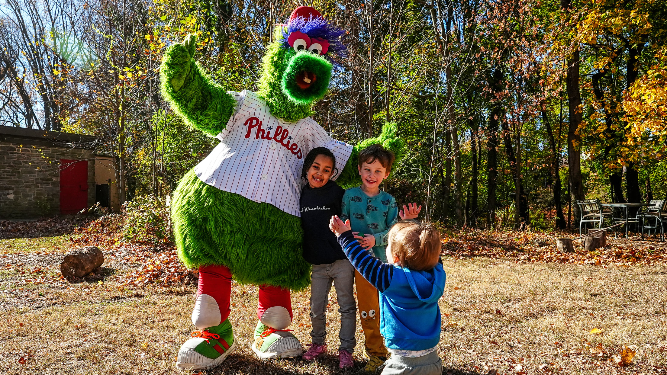 DPMFieldCleanup09317