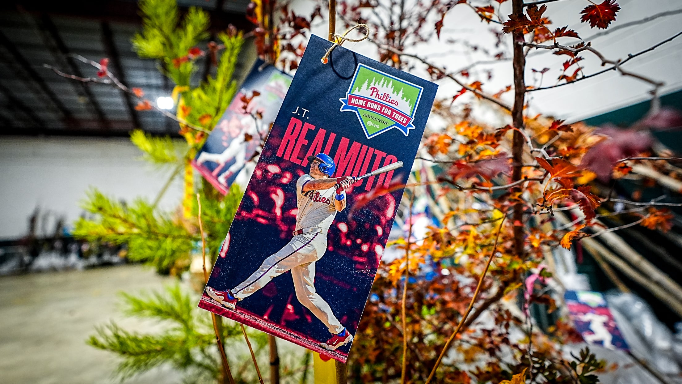 HomeRunsForTrees03993