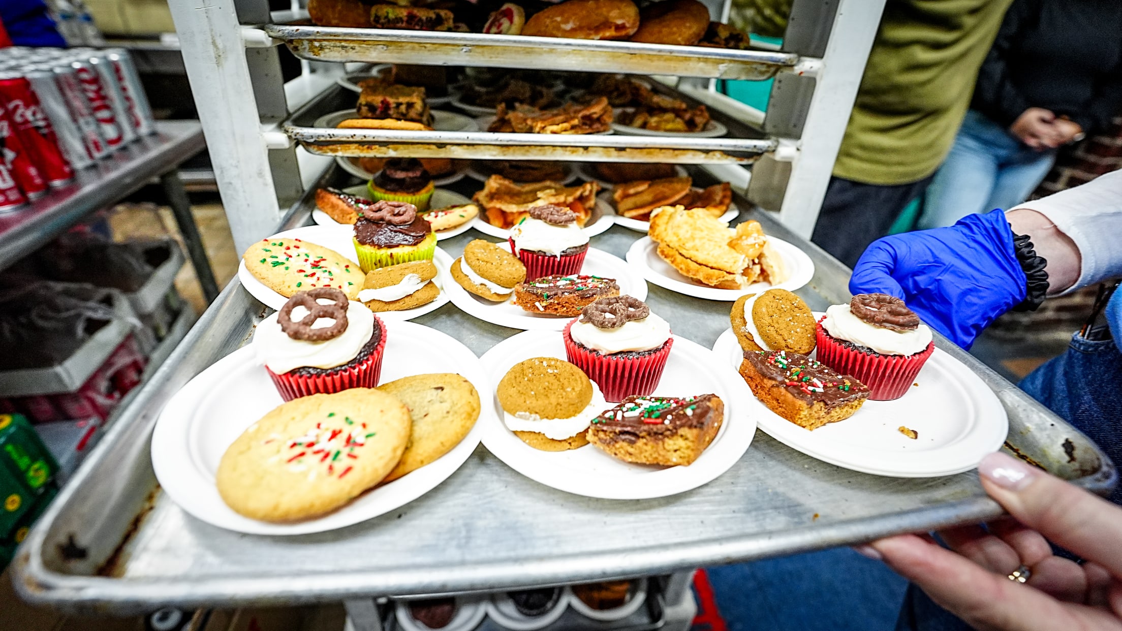 BethesdaProject25174189