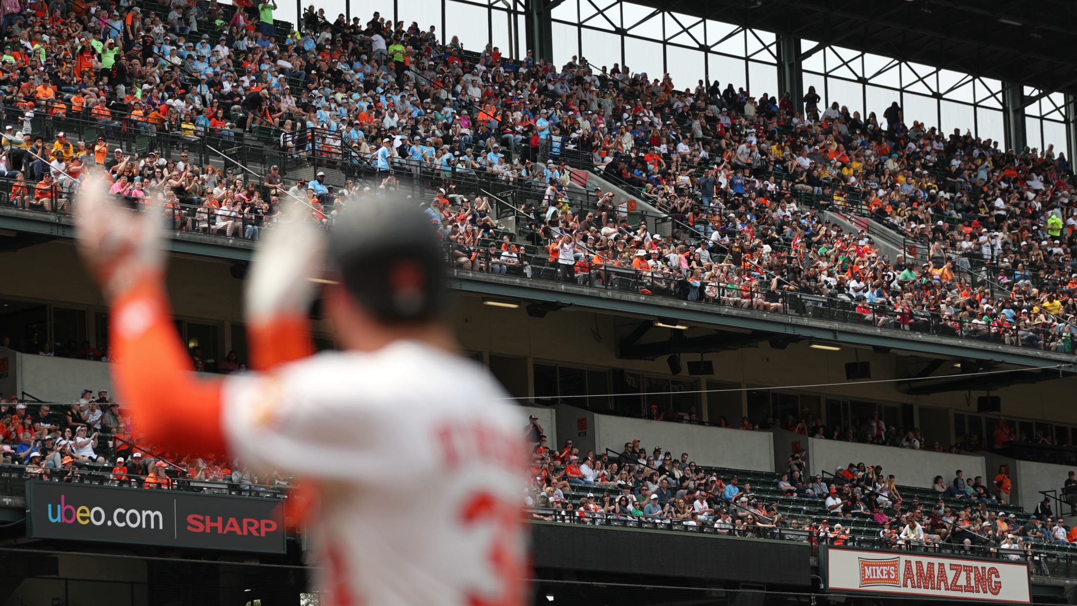 bal_Birdland_Insider_Connor_Photos_018