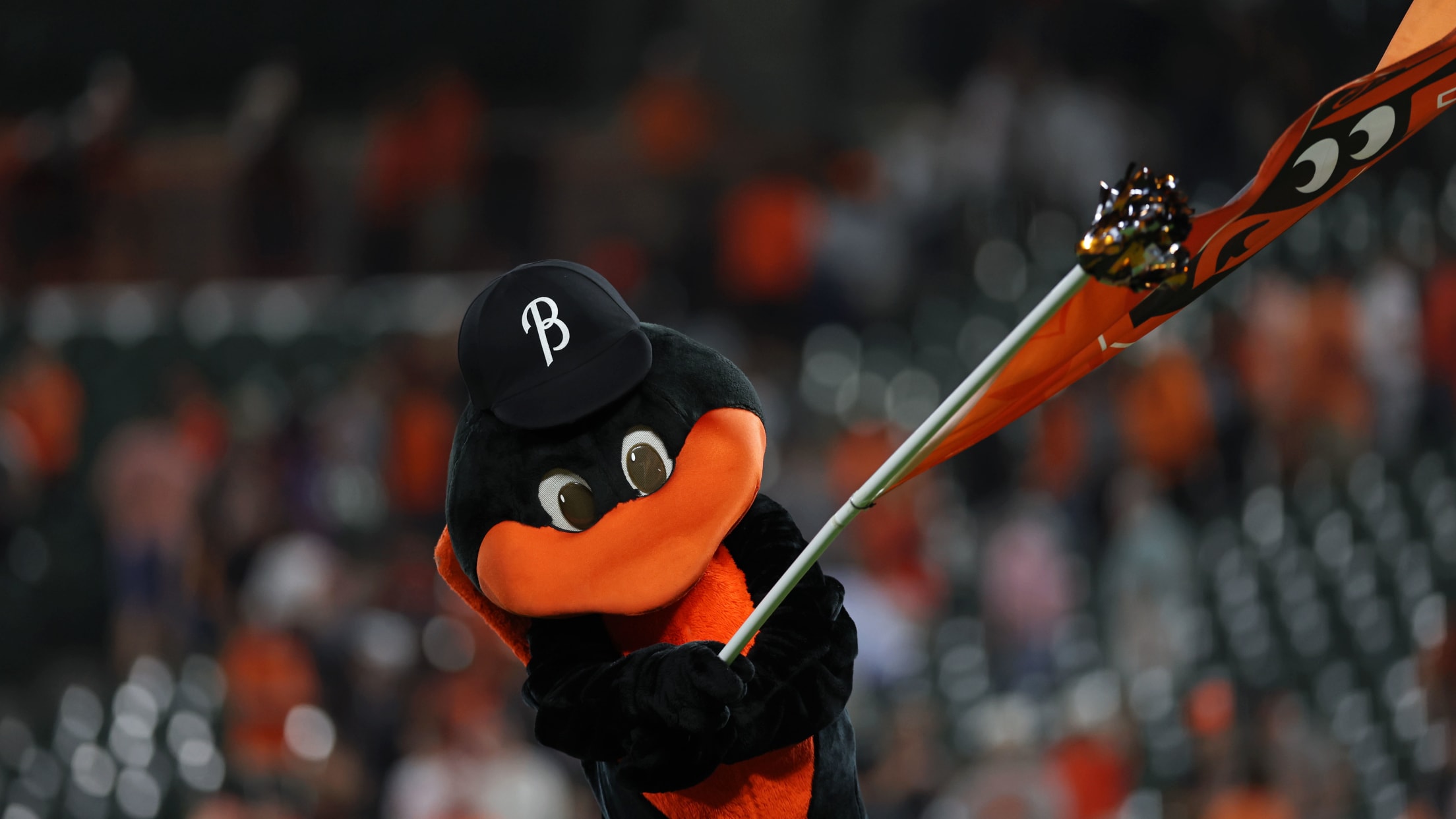 BAL-InFocus-091024-085