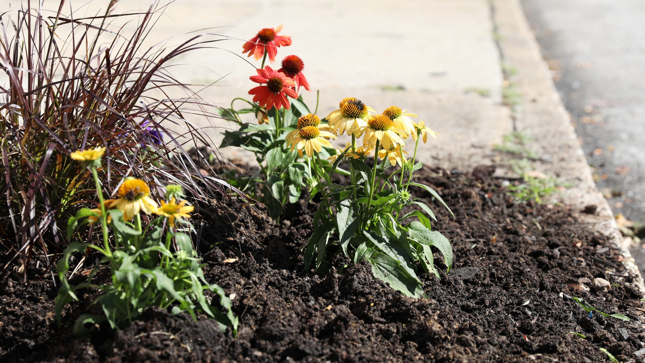 Os_BI_FoodProject_003