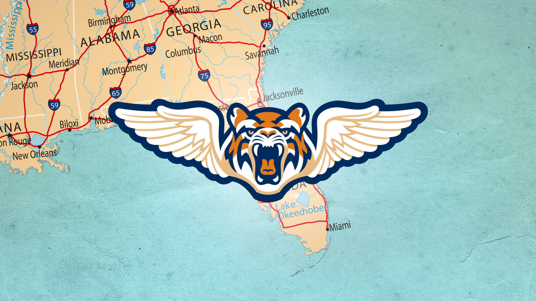 Event Feedback: Tampa Tarpons vs. Lakeland Flying Tigers - MiLB