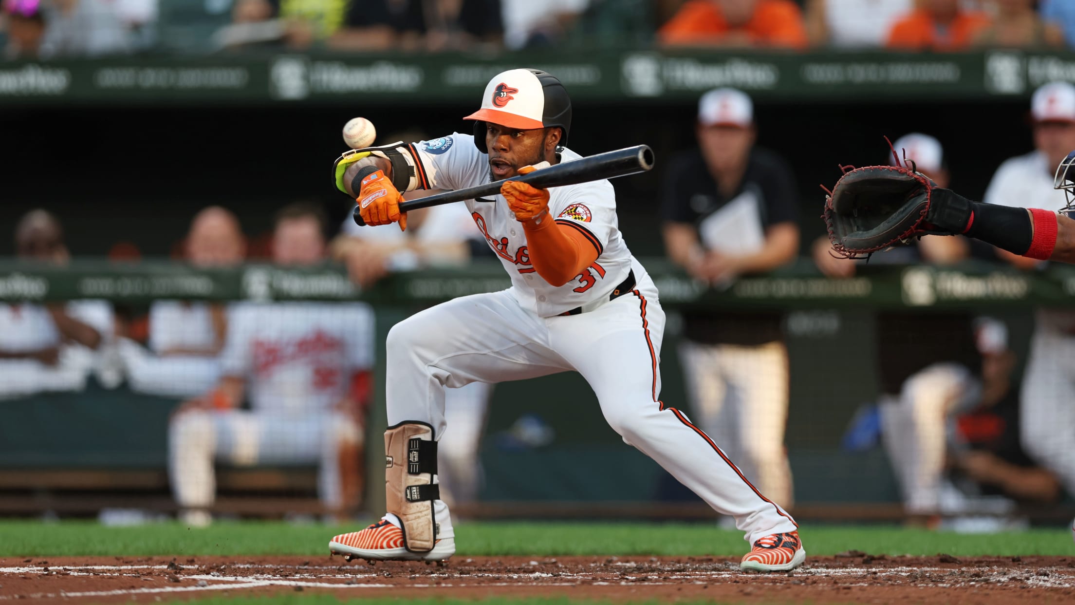 BAL-InFocus-081924-005