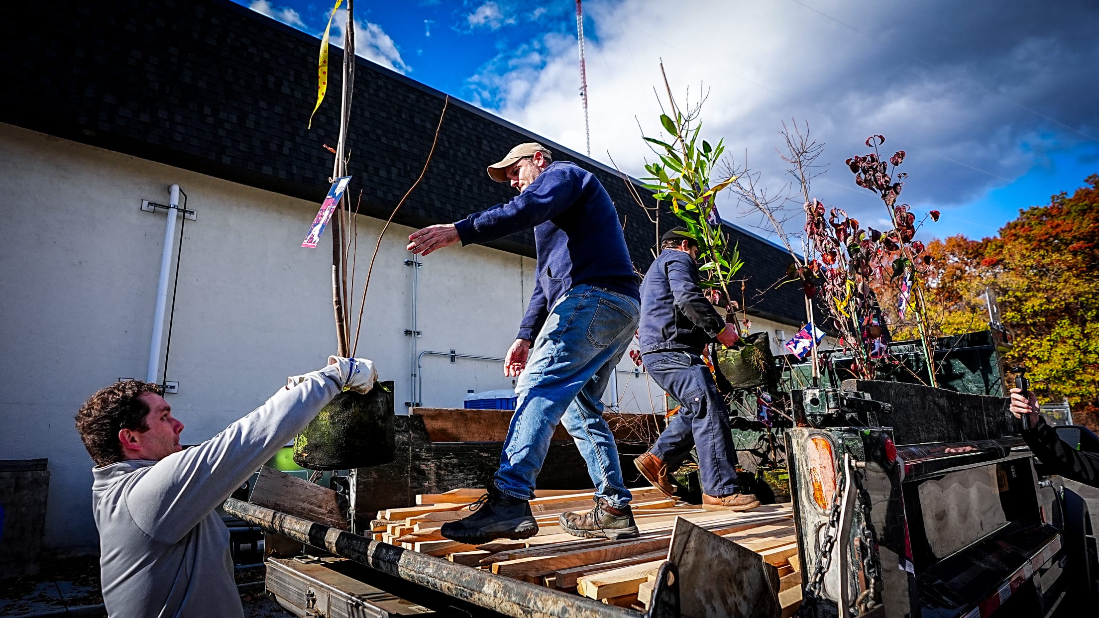 HomeRunsForTrees166769