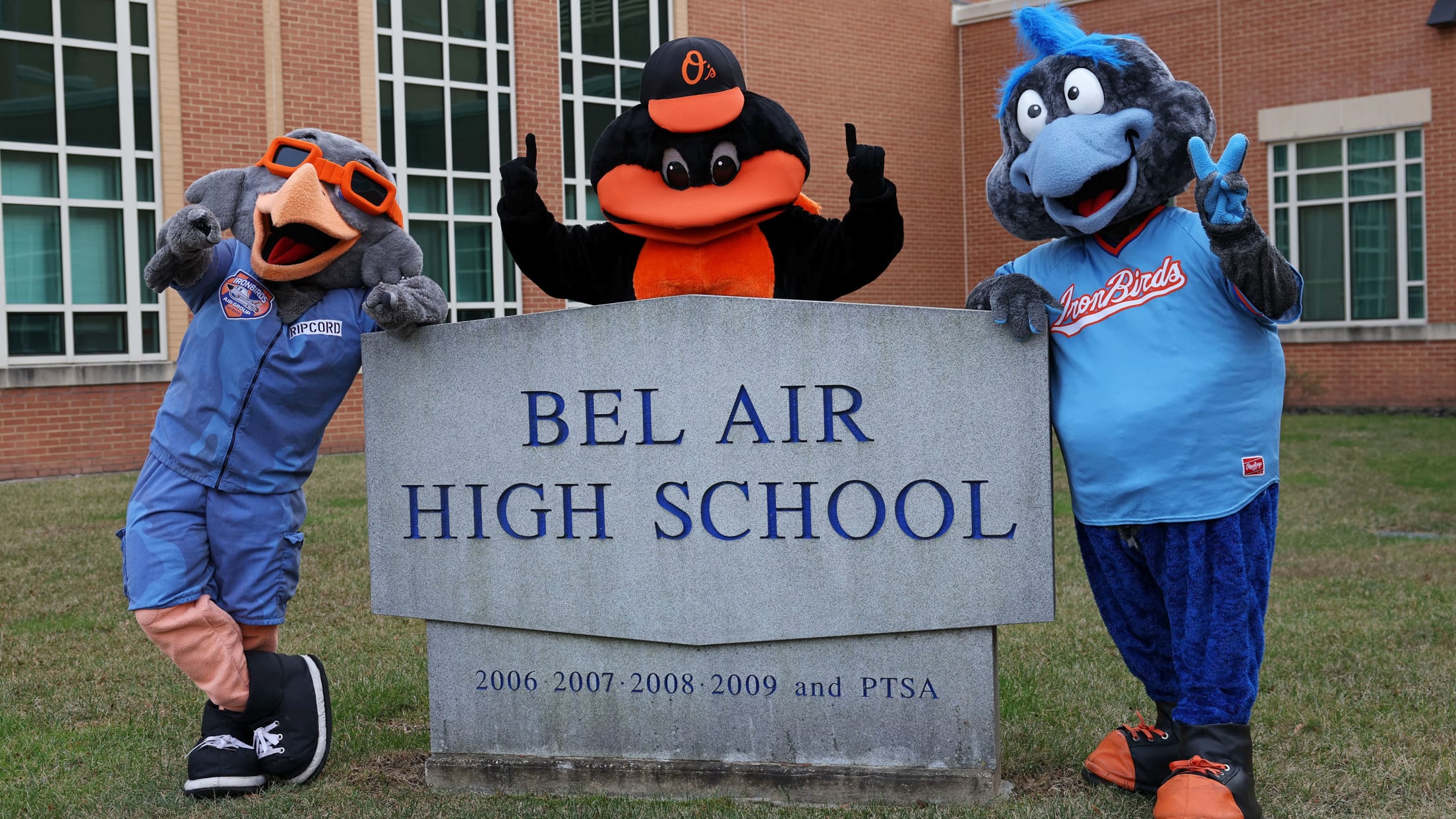 BAL-Insider-BirdlandCaravan - 001