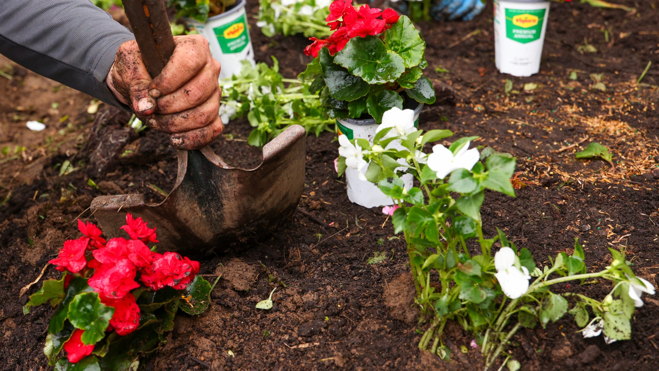 20250616_King Swings Backyard Makeover-08