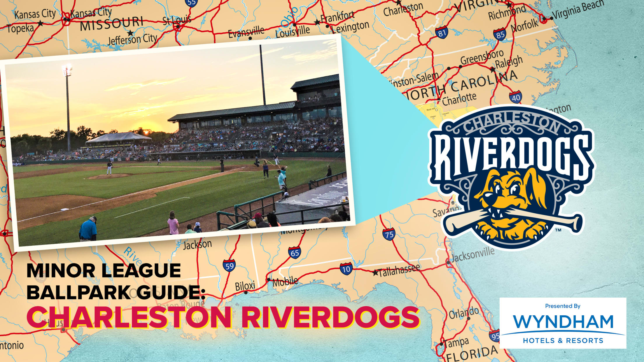 RiverDogs' Judge called up to Single-A Tampa, Sports