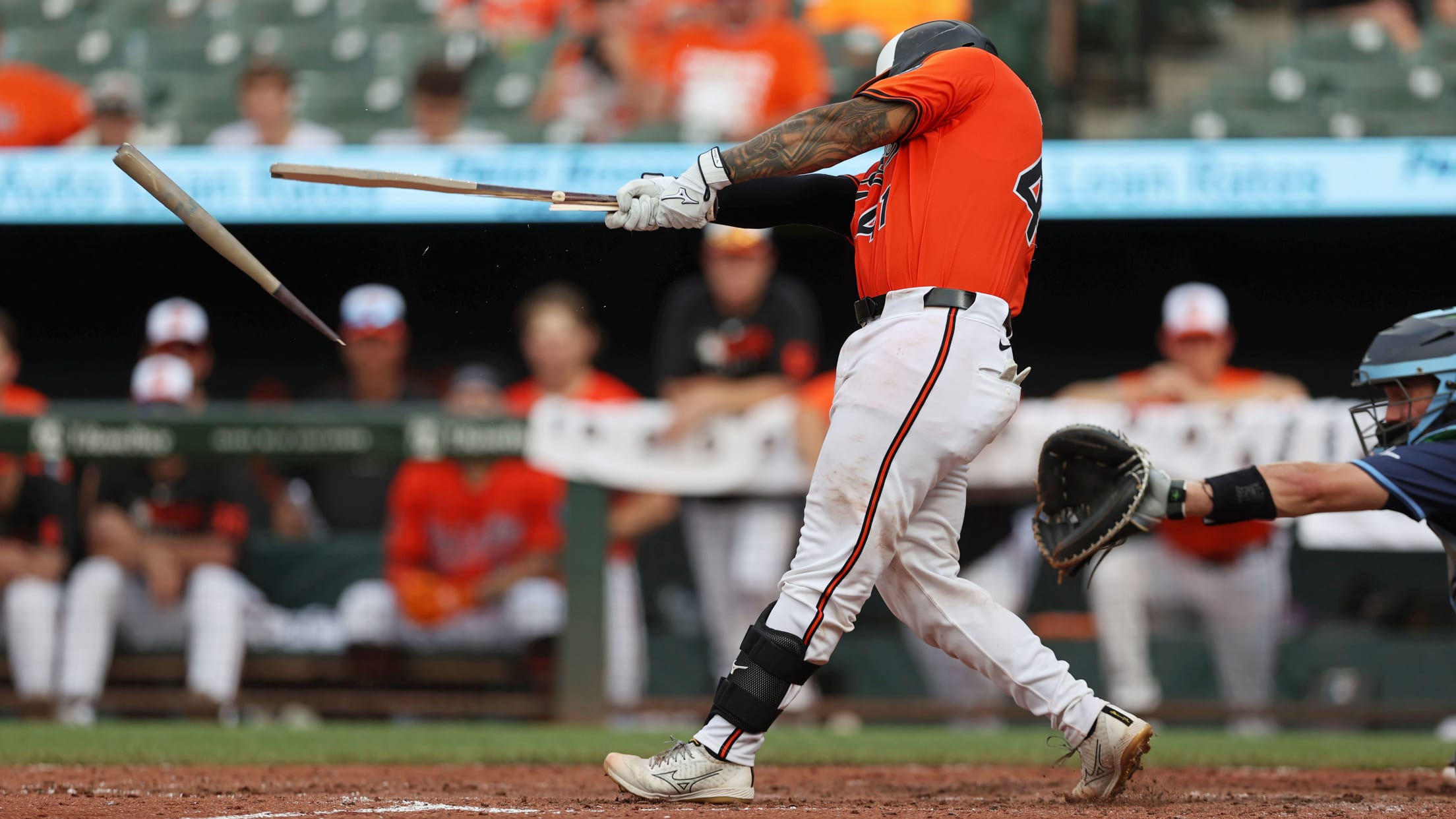 bal_Birdland_Insider_Connor_Photos_028