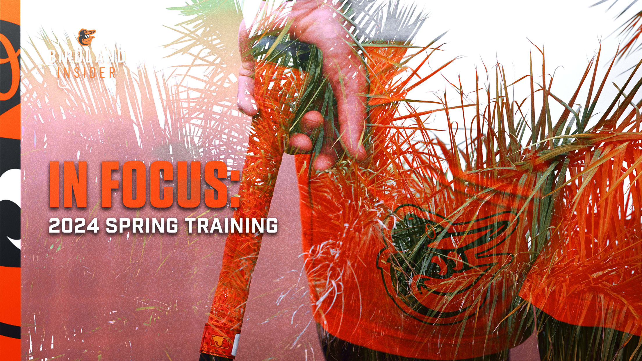 BAL-BI-022824-In-Focus-2024-Spring-Training-header