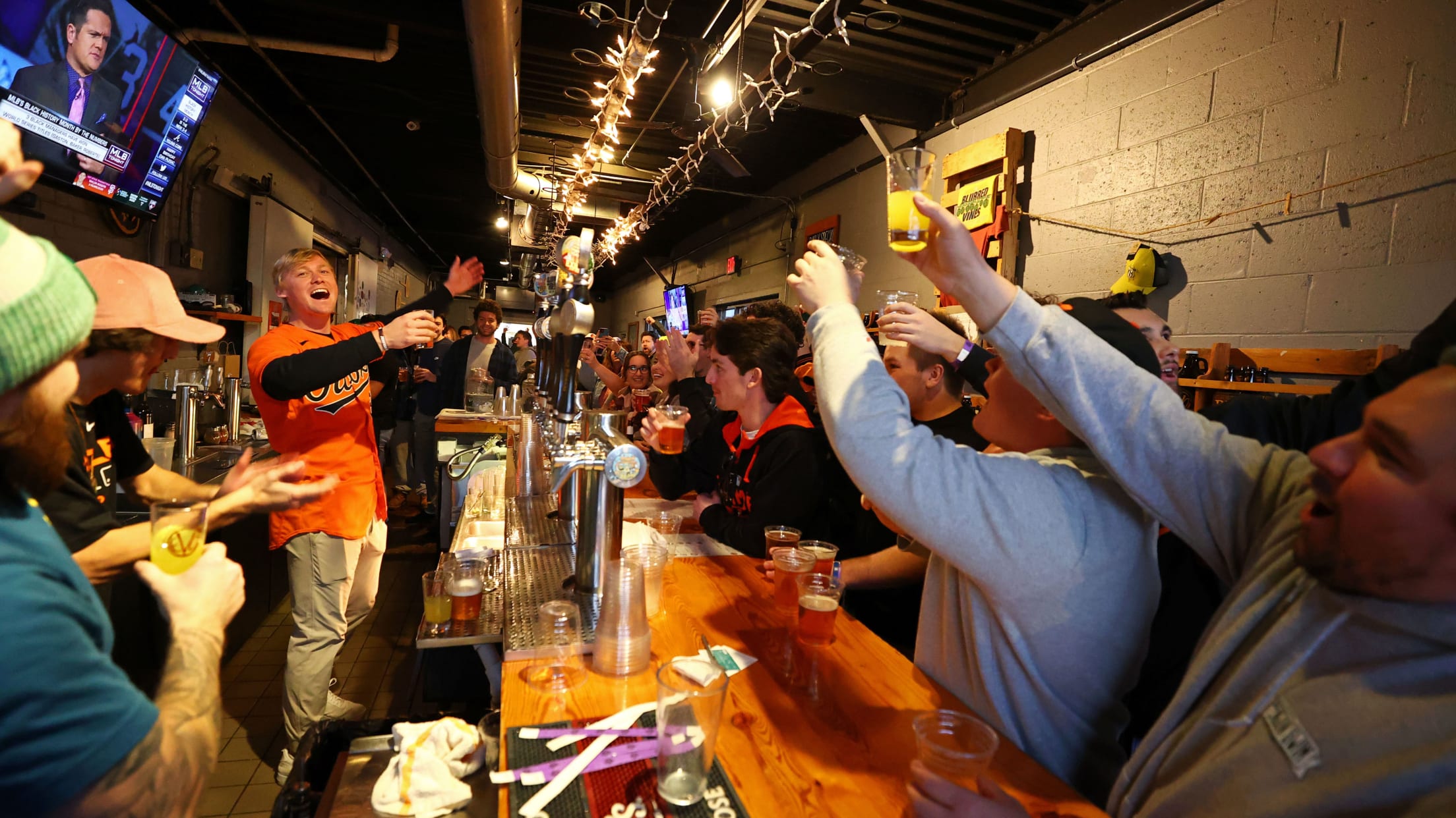 BAL-Insider-BirdlandCaravan - 021