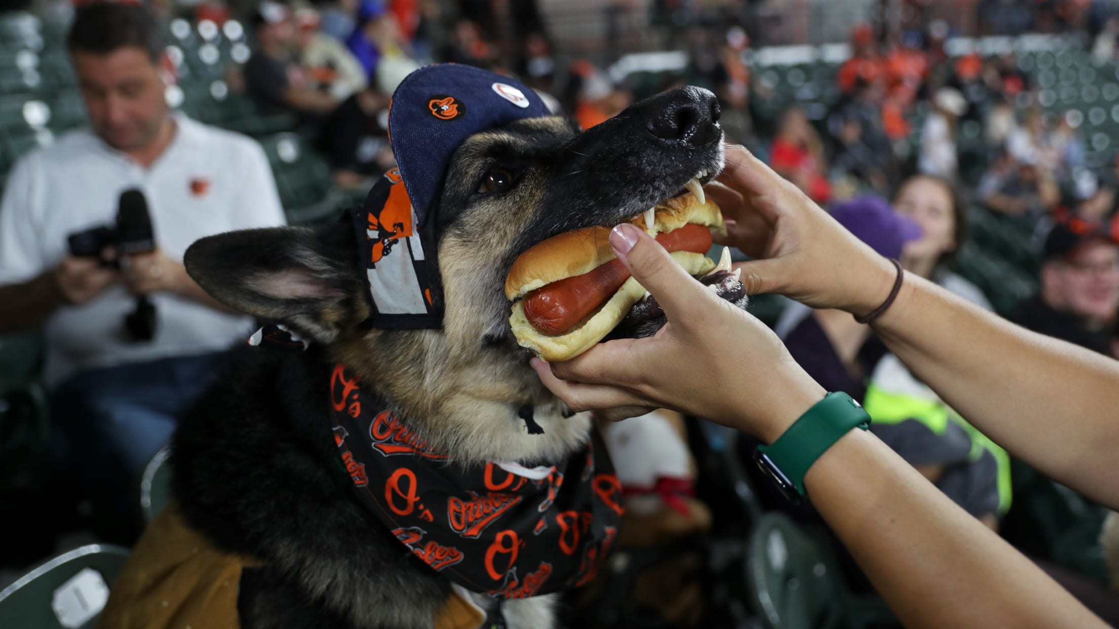 BAL-InFocus-092424-022