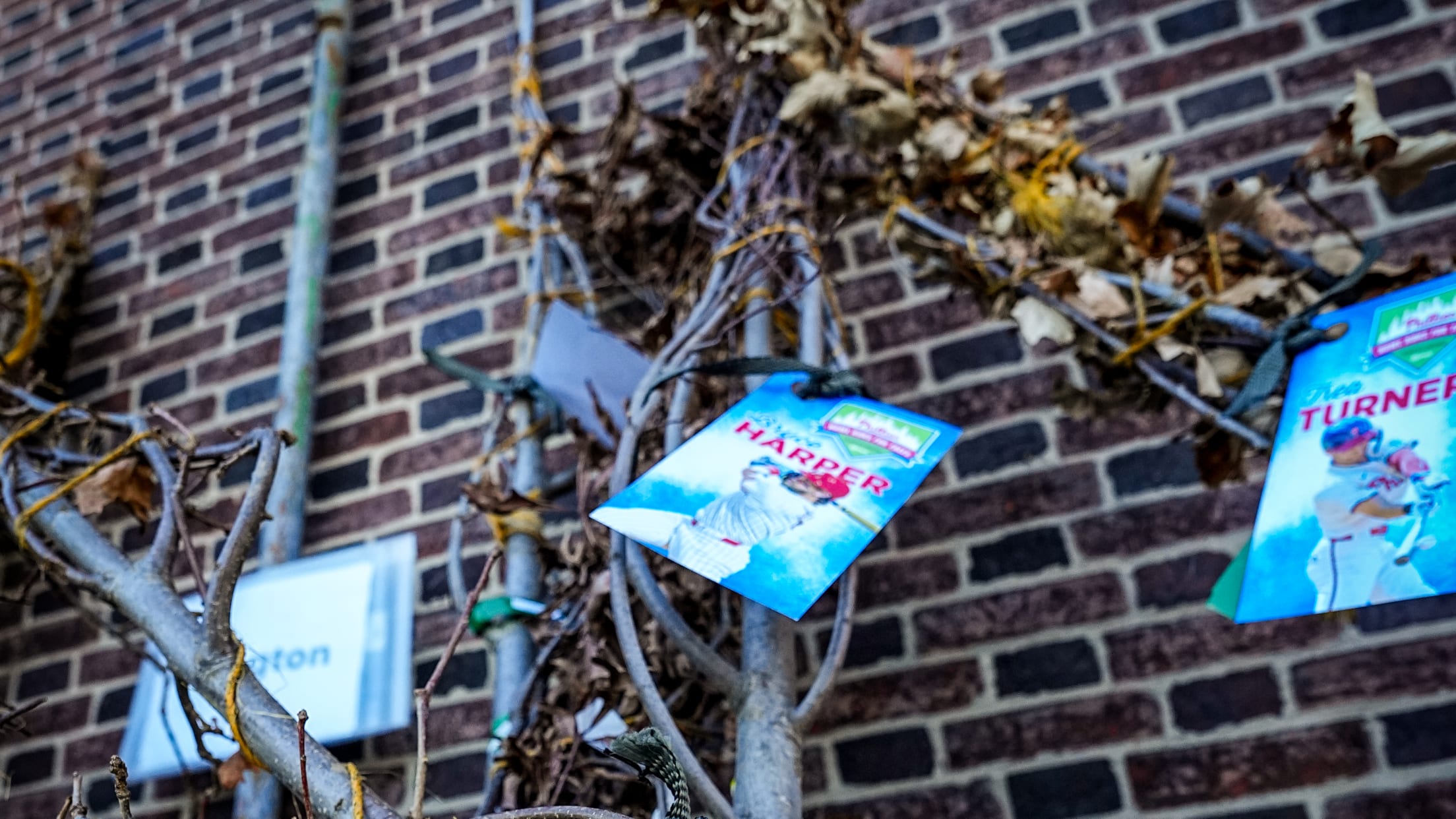 HomeRunsforTrees06844