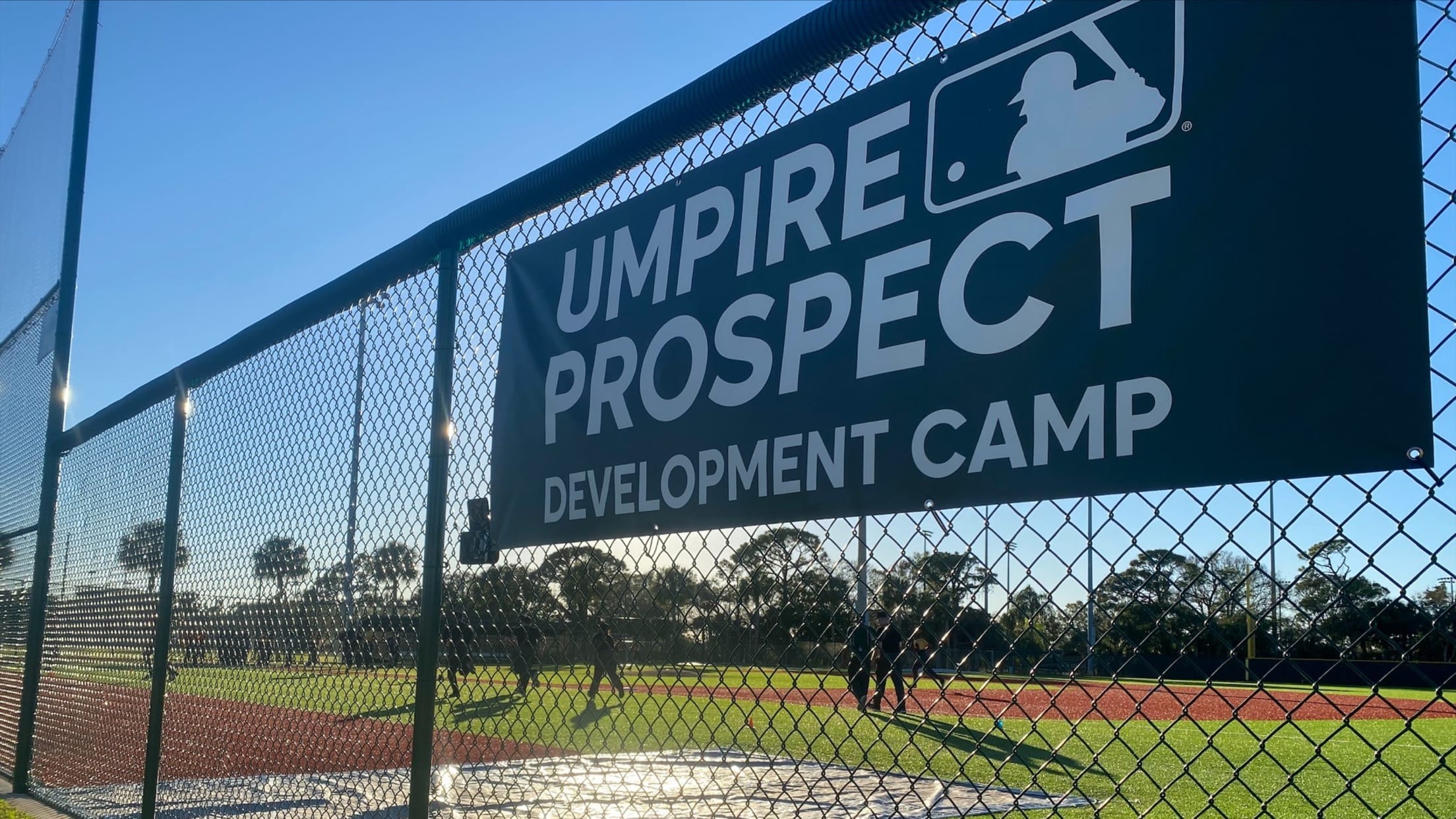 MLB Umpire Camps