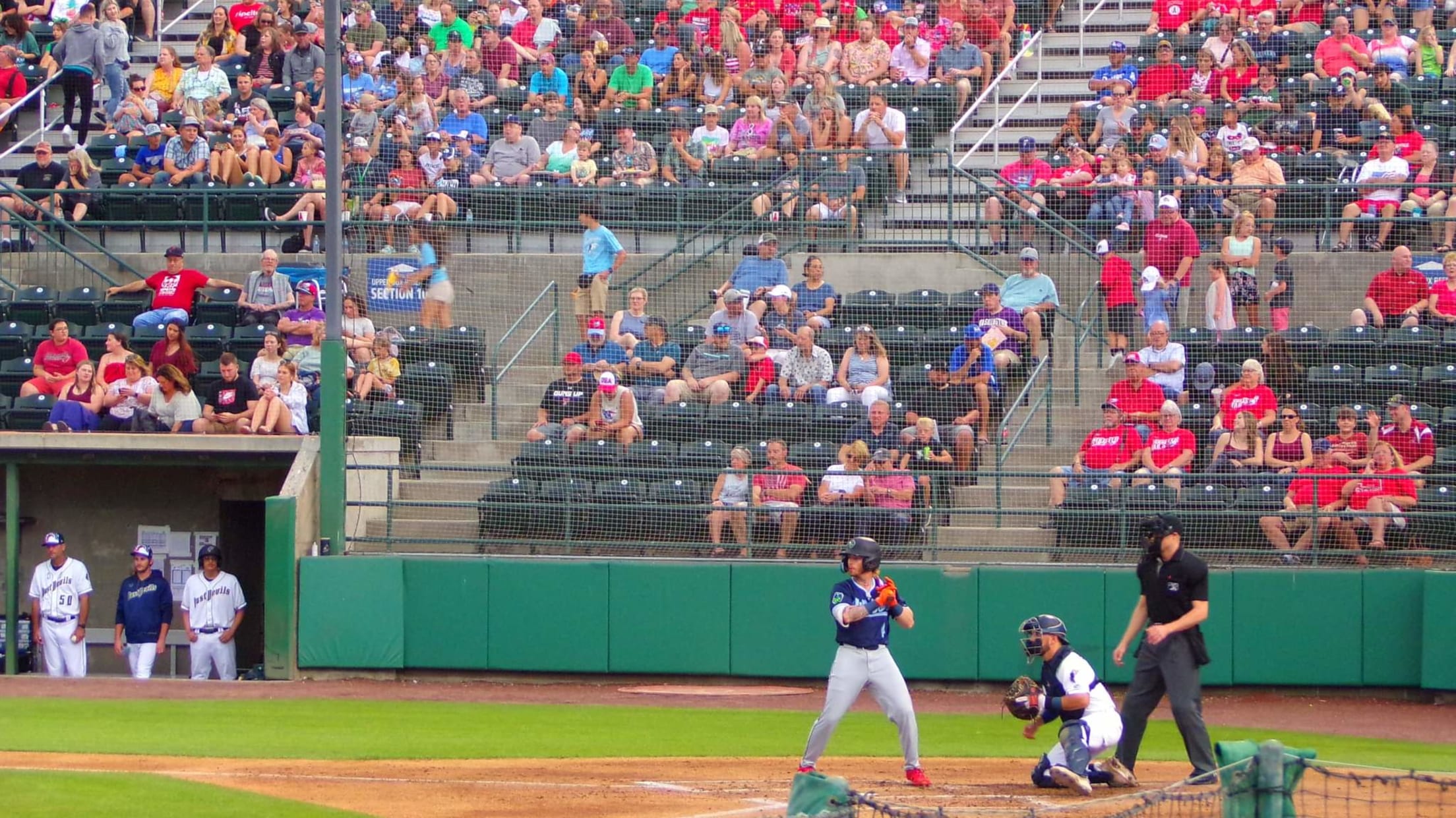 Bees laid claim to the infield so the Blue Jays and Angels left in