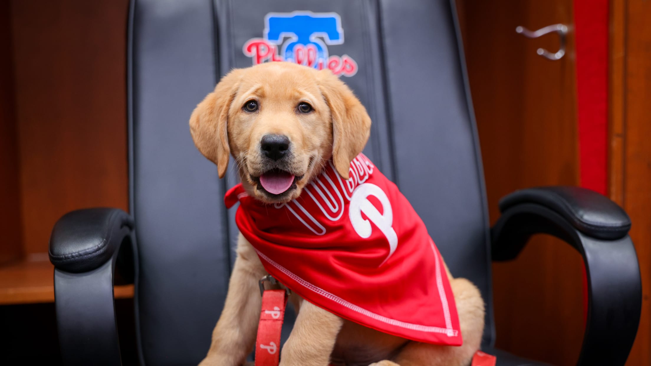 20250624_Team Foster Puppy Reveal_-8