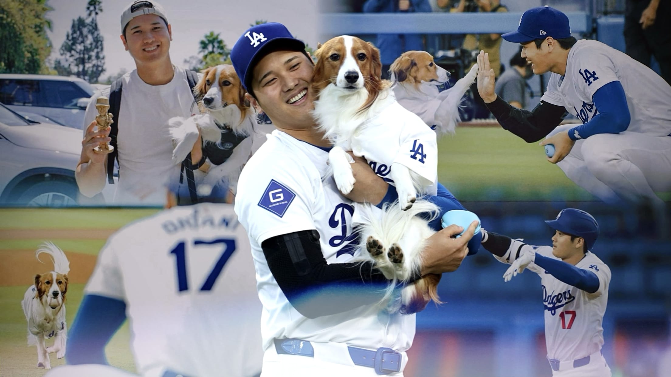 It was a big night for Shohei Ohtani and his dog, Decoy