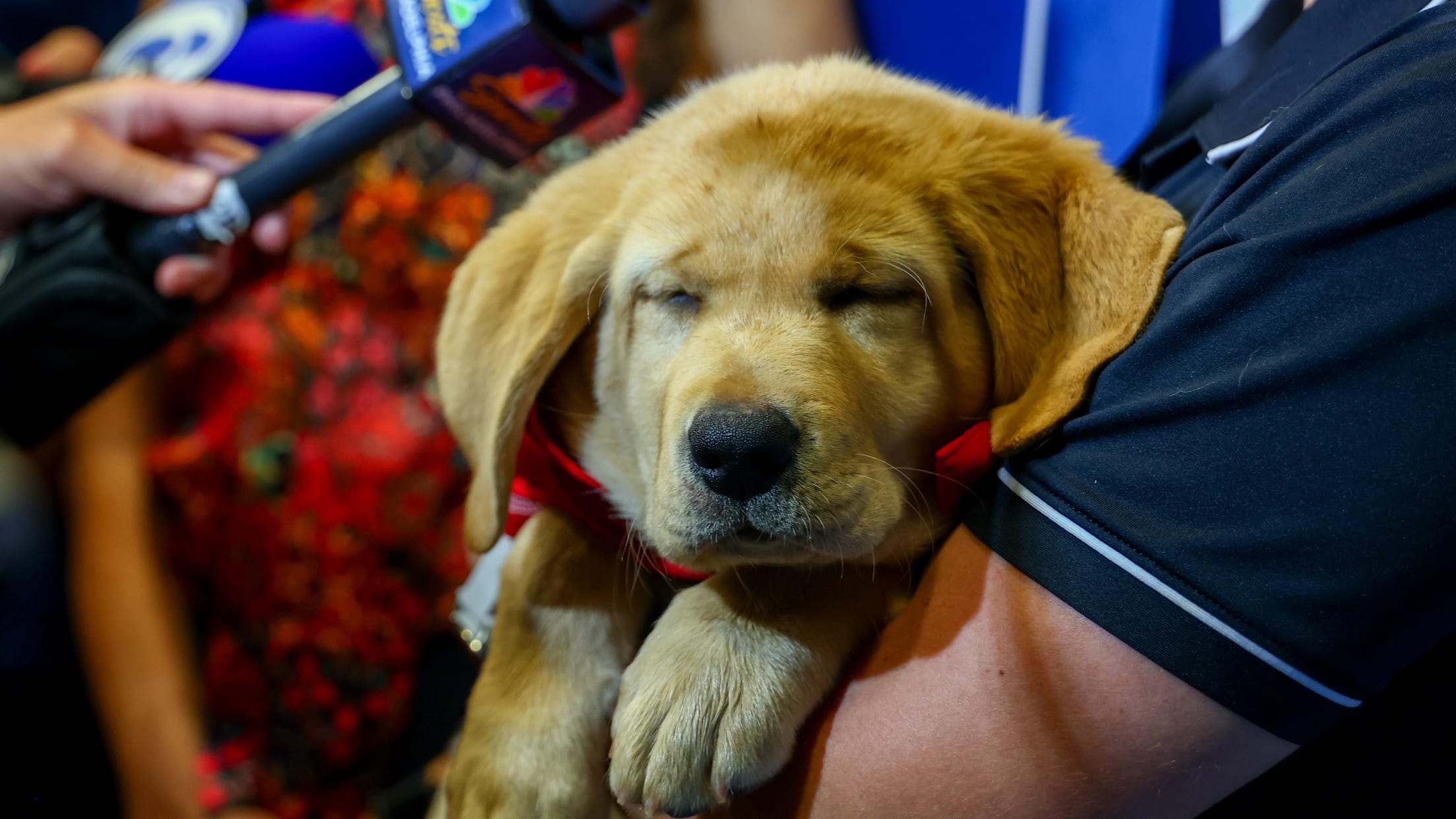 20250701_Tugger Media Availability-30