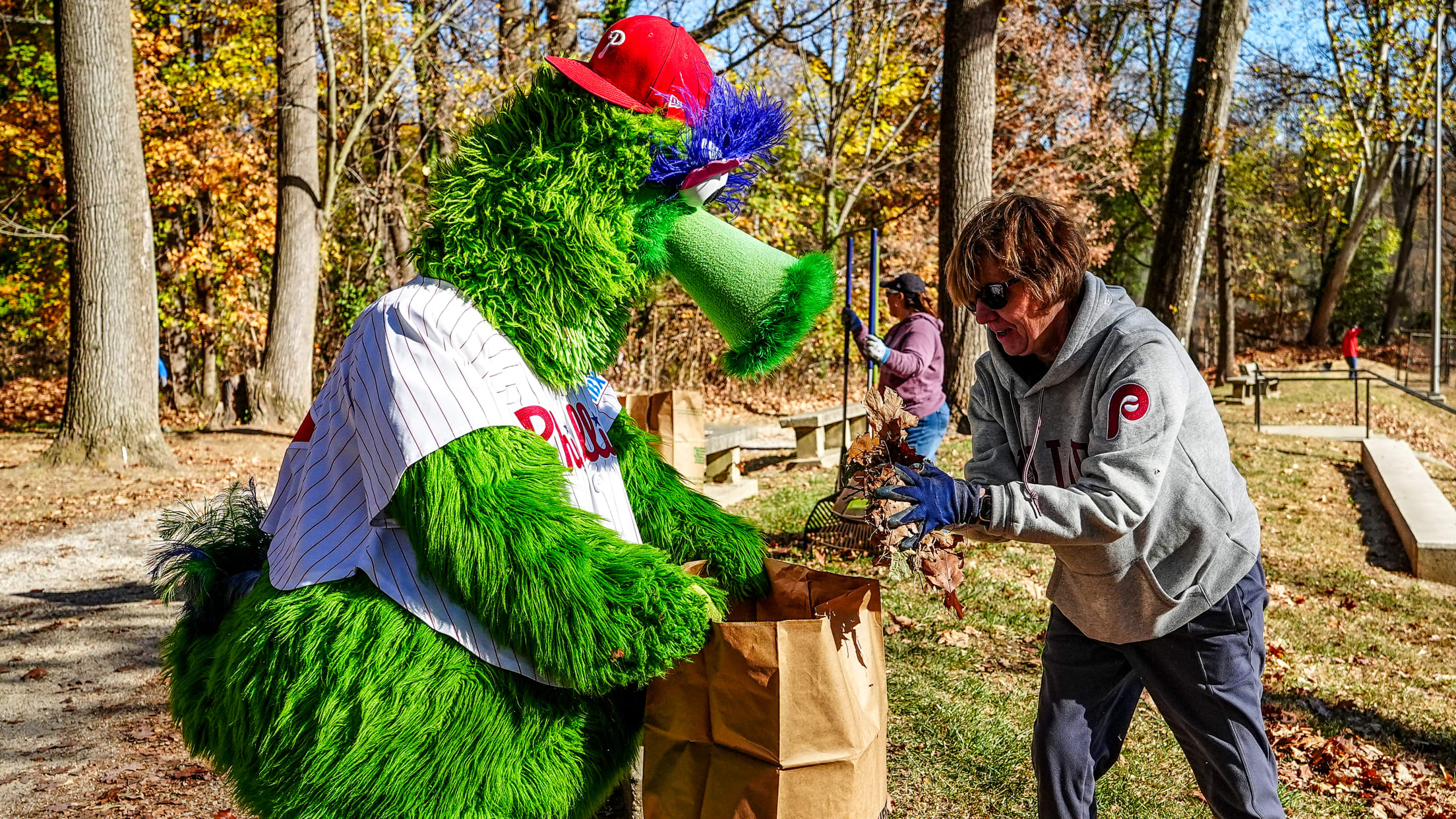 DPMFieldCleanup09349