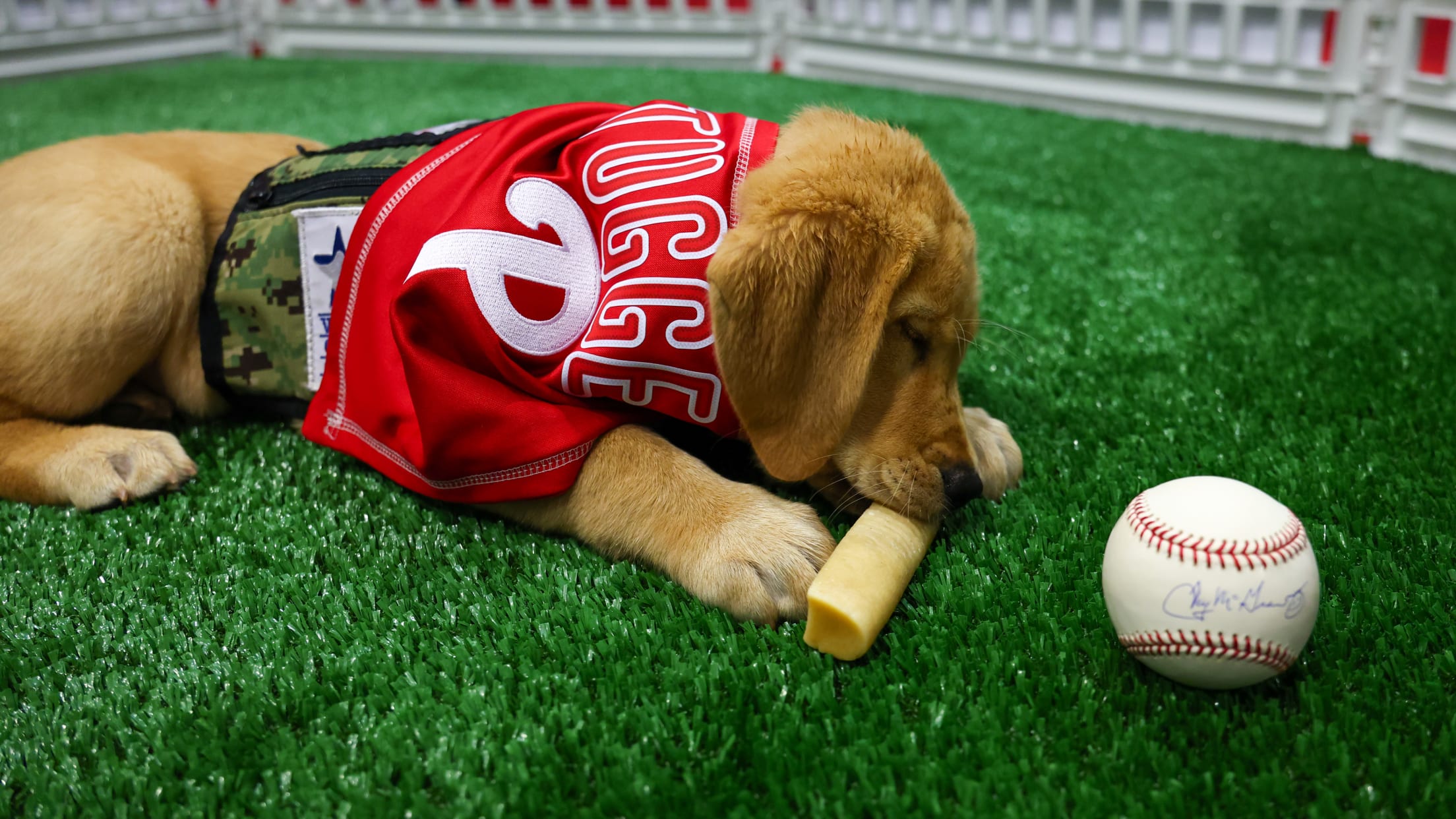 20250701_Tugger Media Availability-8