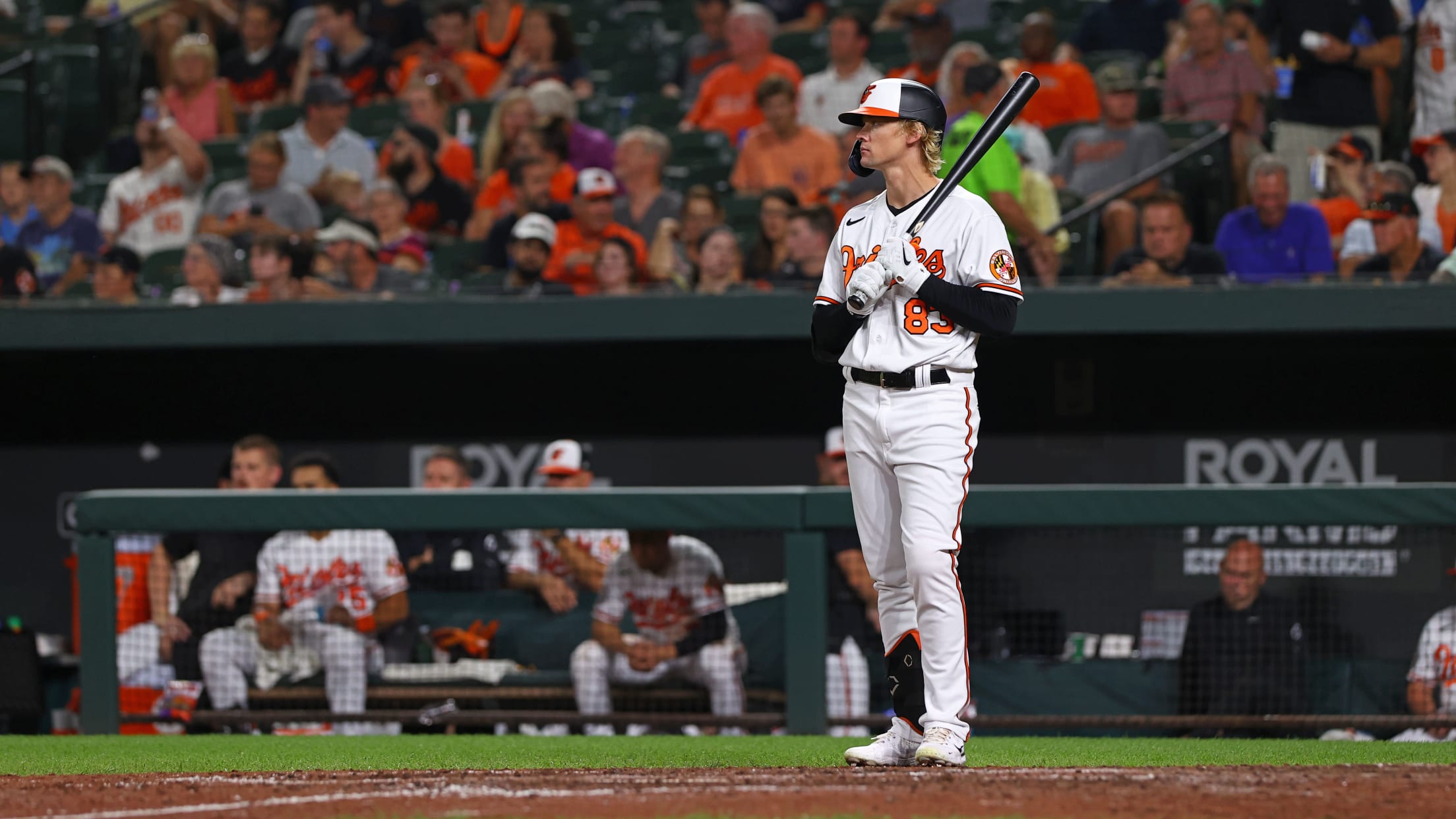 BAL-BI - Stowers Rapid Qs - 003