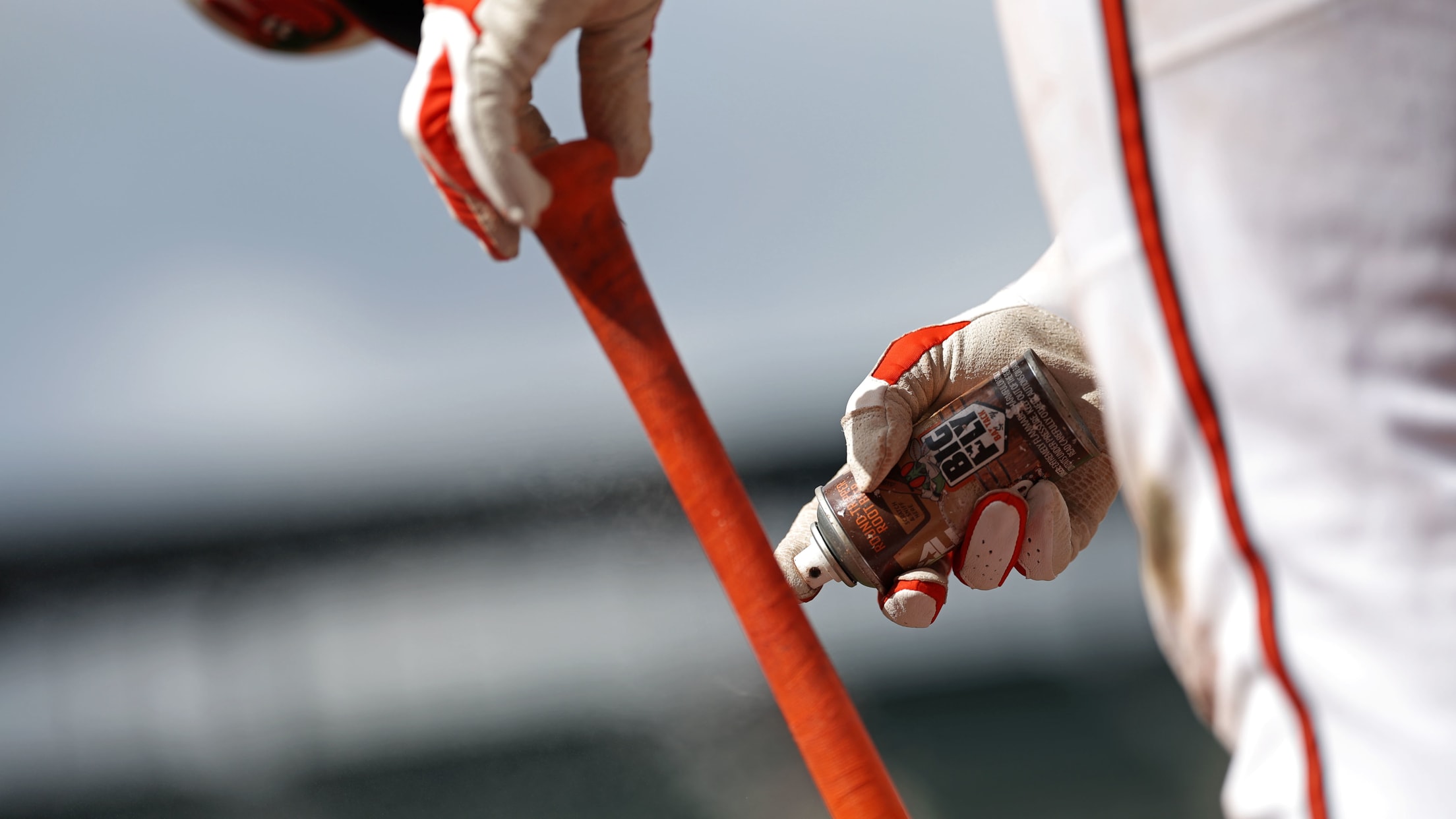 bal_Birdland_Insider_Todd_Photos_0076