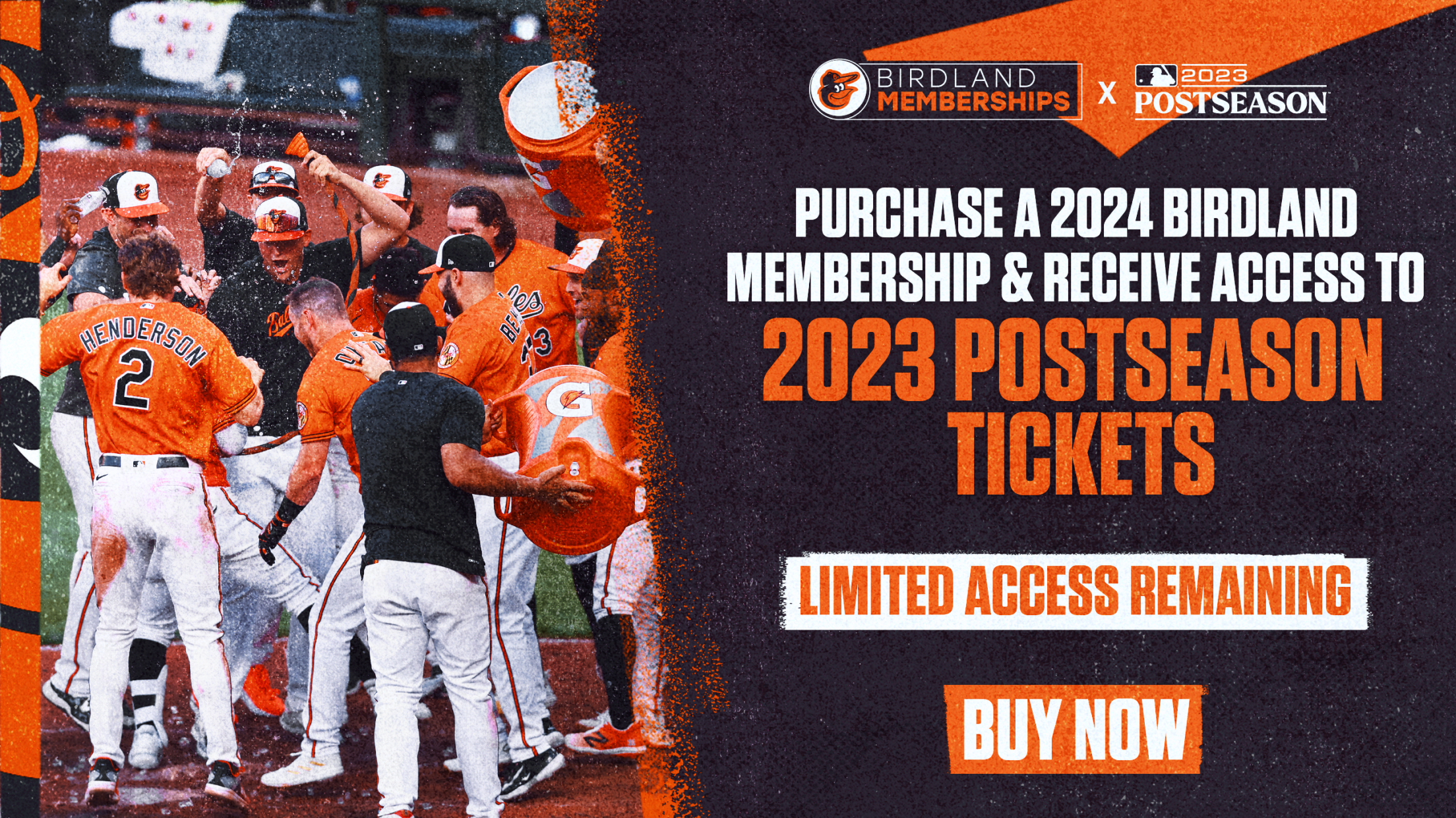 Birdland Memberships Season Tickets Baltimore Orioles