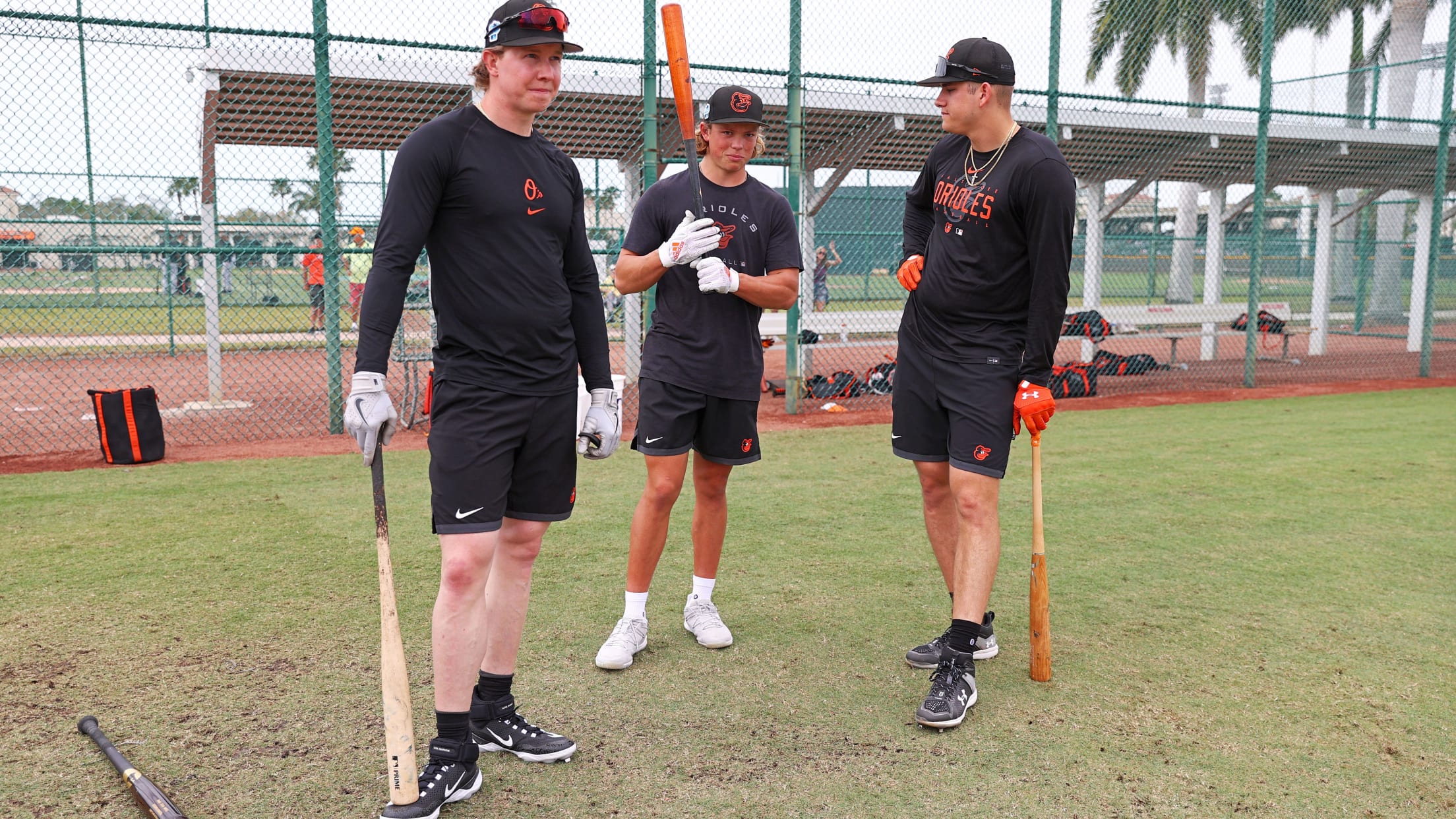 Os_BI_MiLBFarmSystem - 011