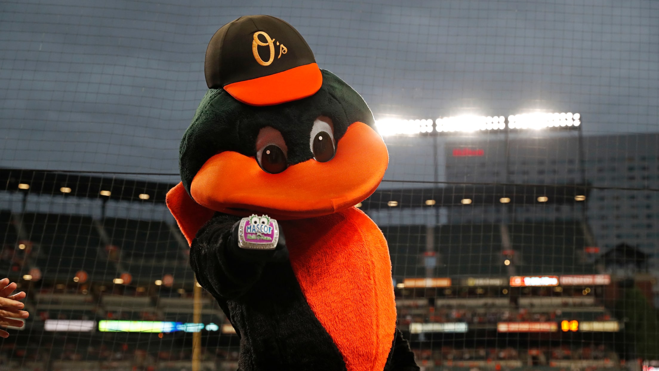 BAL-BI-031324-70Years-2014-2023-029