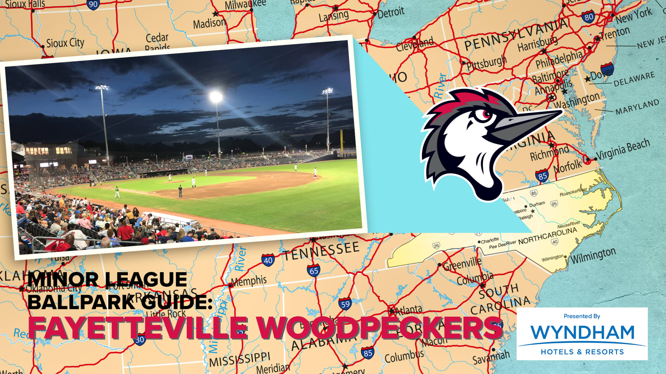 Woodpeckers in the MLB Postseason