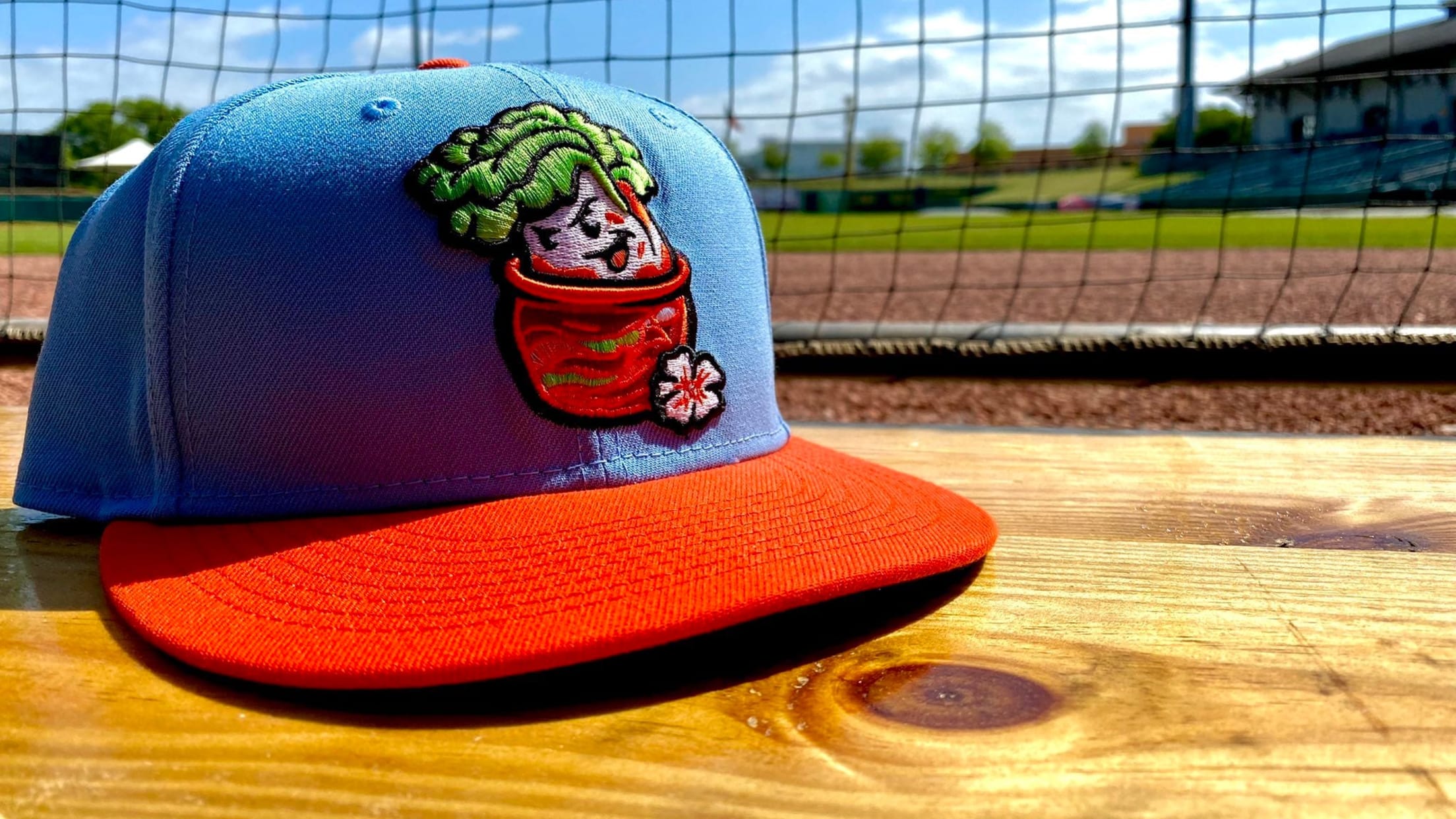 Montgomery Biscuits to play as Kimchi on Korean Heritage Night